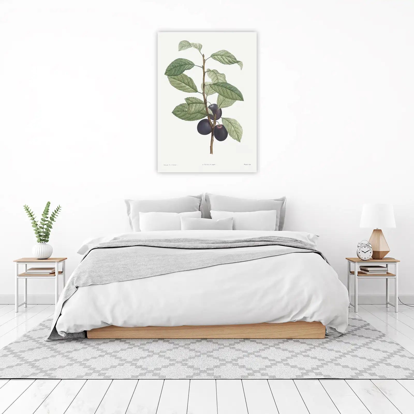 Vintage Plum Botanical Art Wall Art