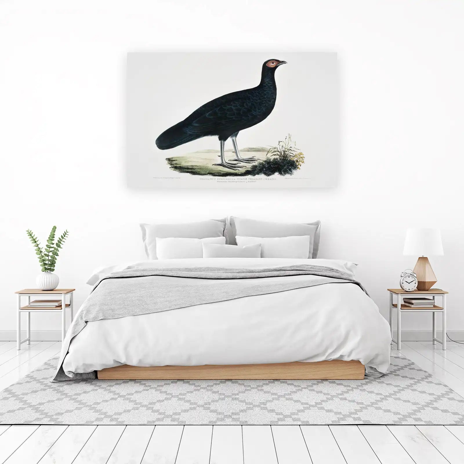 Exotic Purple Pheasant Vintage Bird Art Wall Art