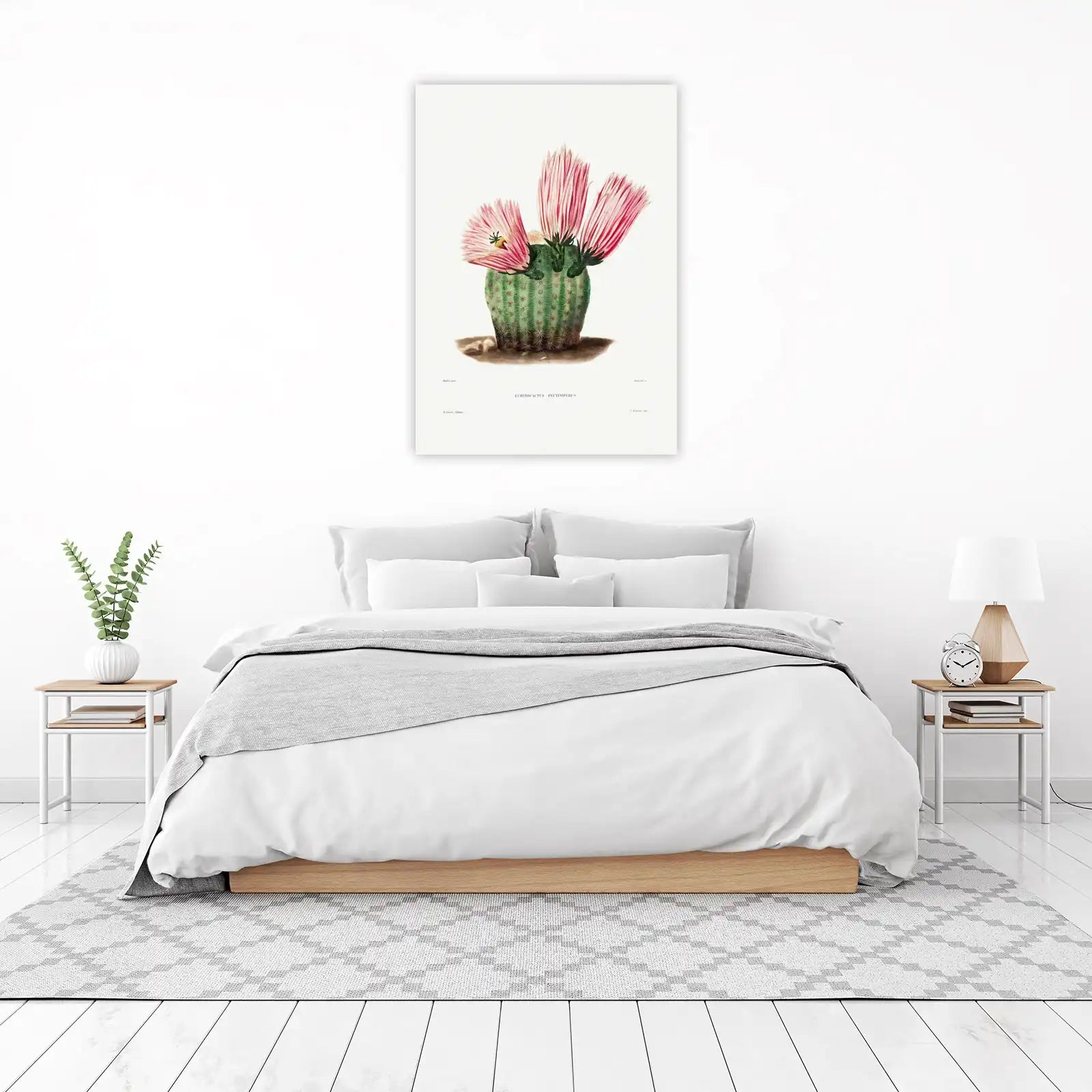 Pink Cactus Bloom Botanical Art Wall Art