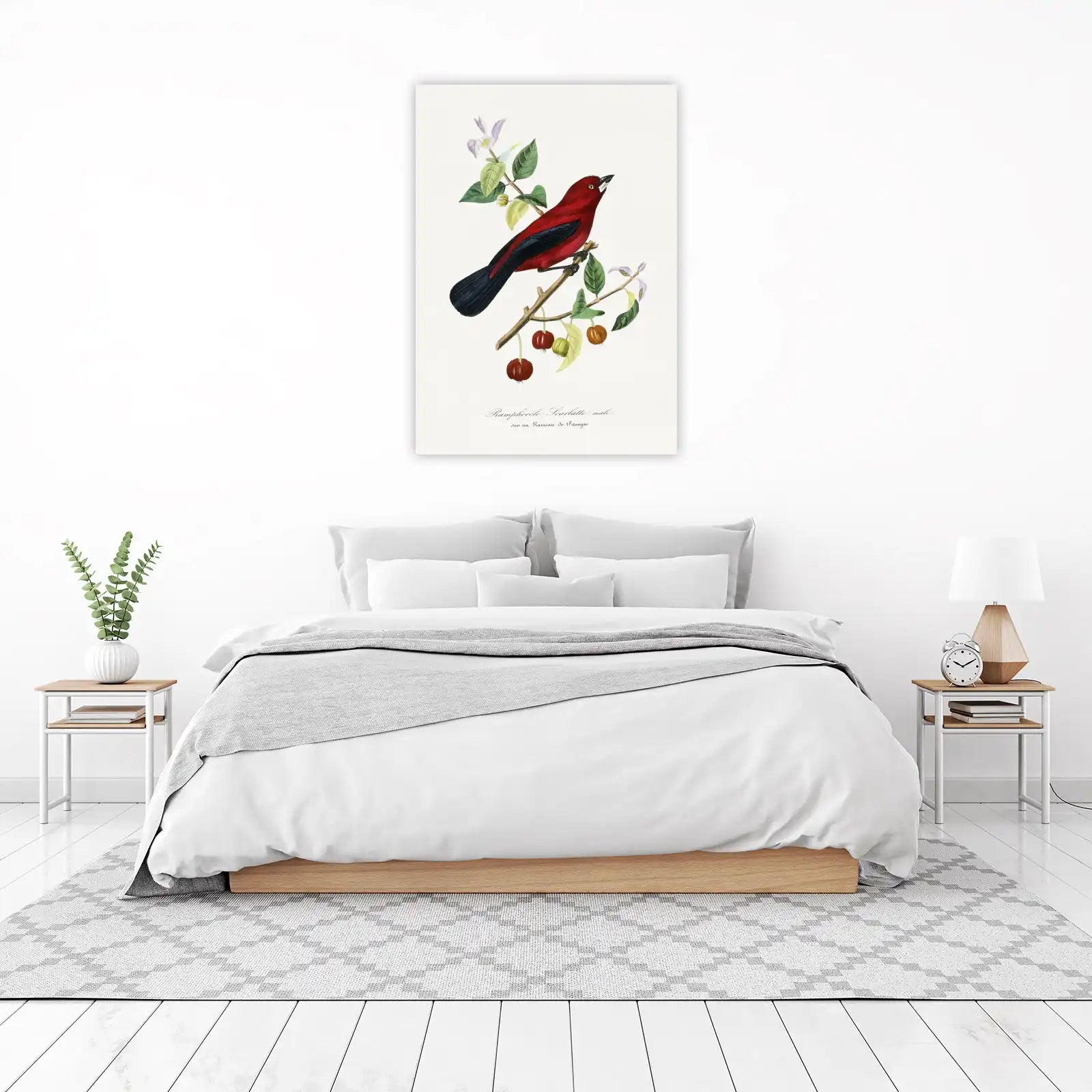 Scarlet Tanager Bird Vintage Botanical Wall Art