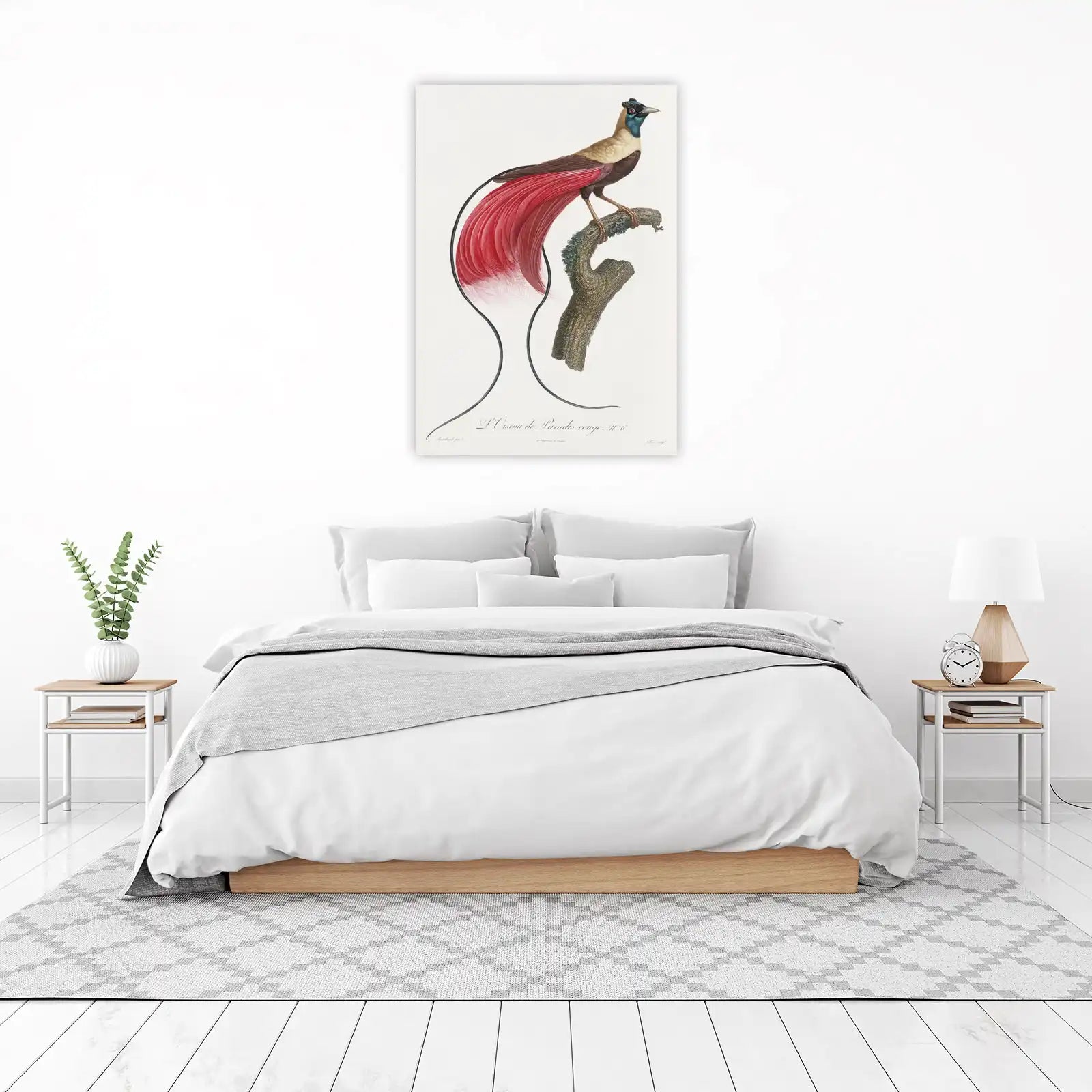 Exotic Bird of Paradise Red Plumage Wall Art