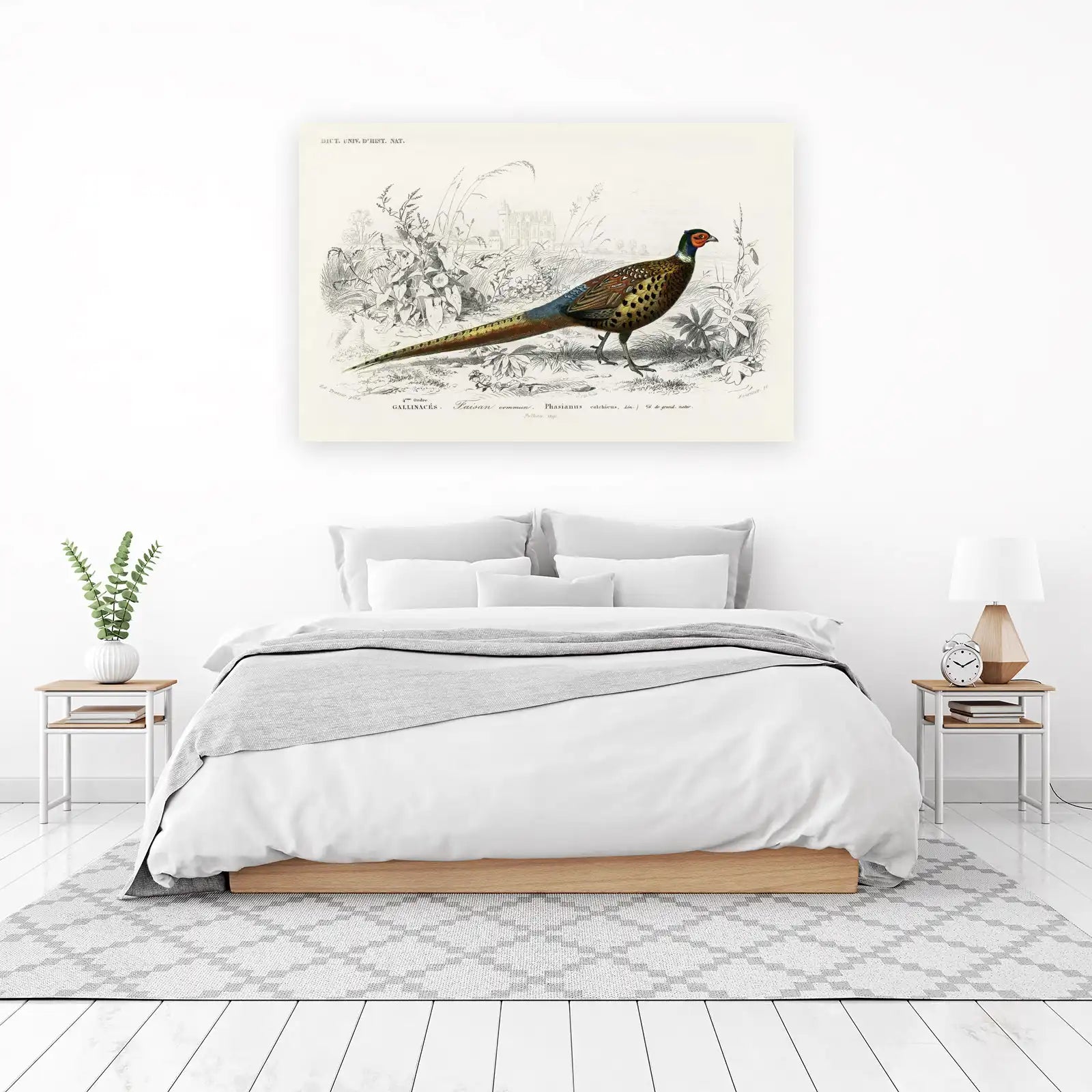 Vintage Pheasant Nature Art Wall Art
