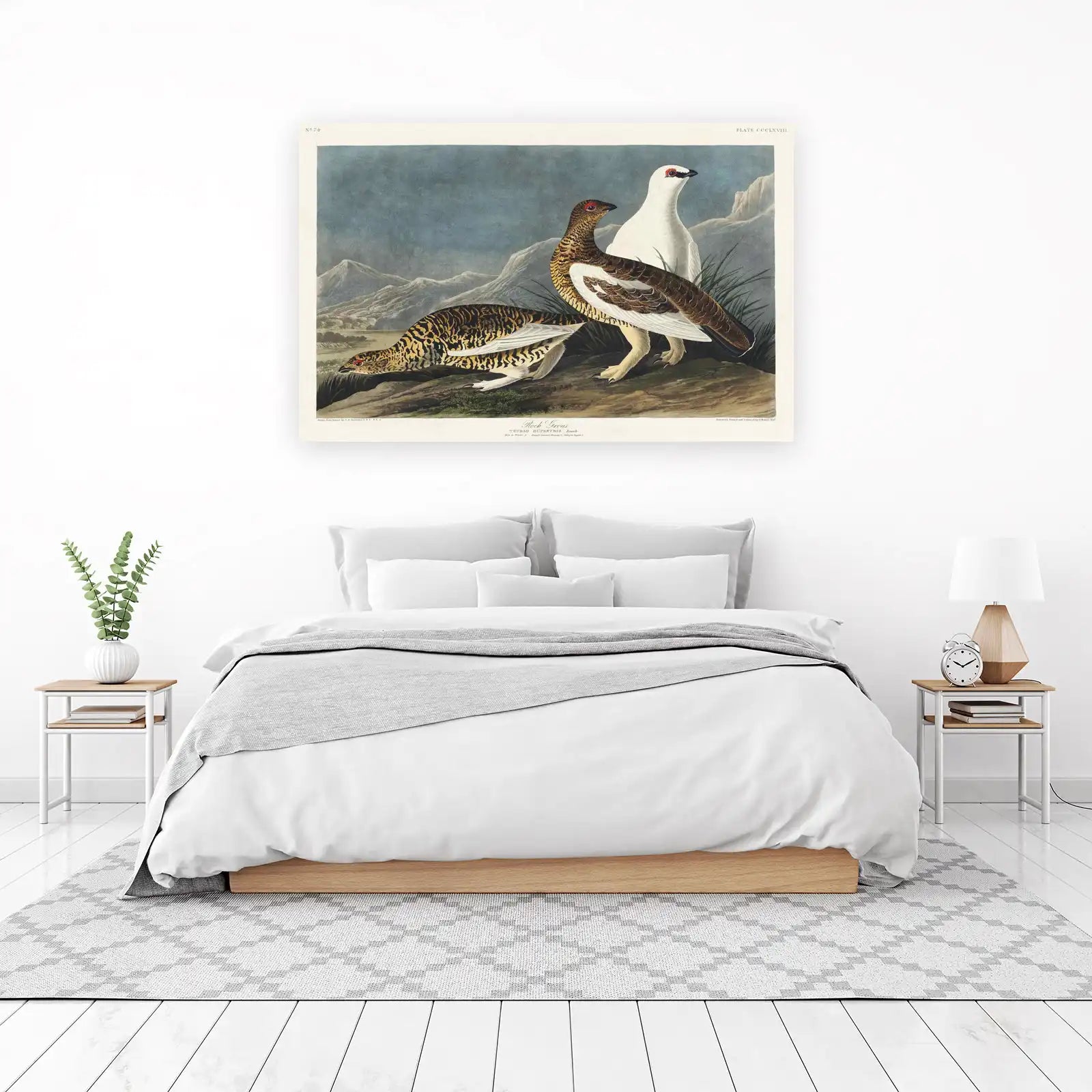 Rock Grouse Vintage Bird Art Wall Art
