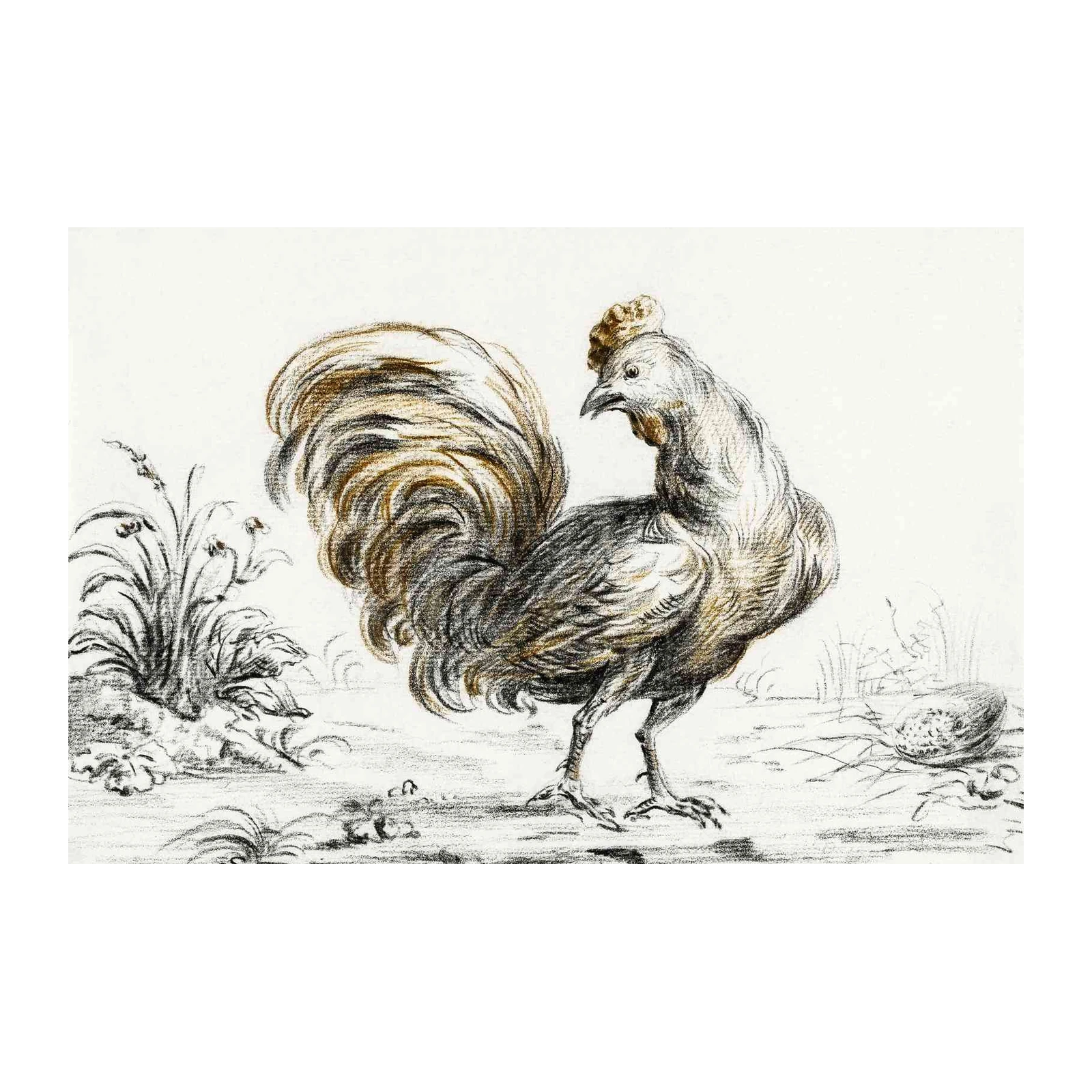 Elegant Rooster Farmhouse Art Wall Art