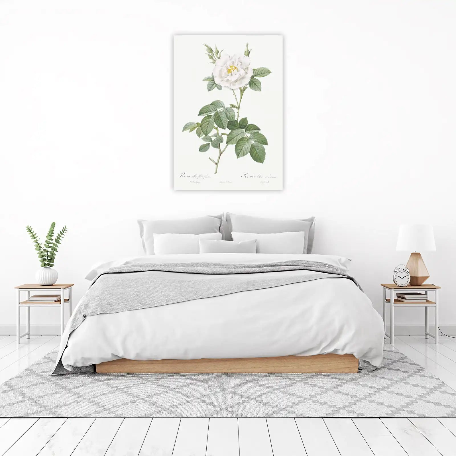 Vintage White Rose Botanical Art Wall Art