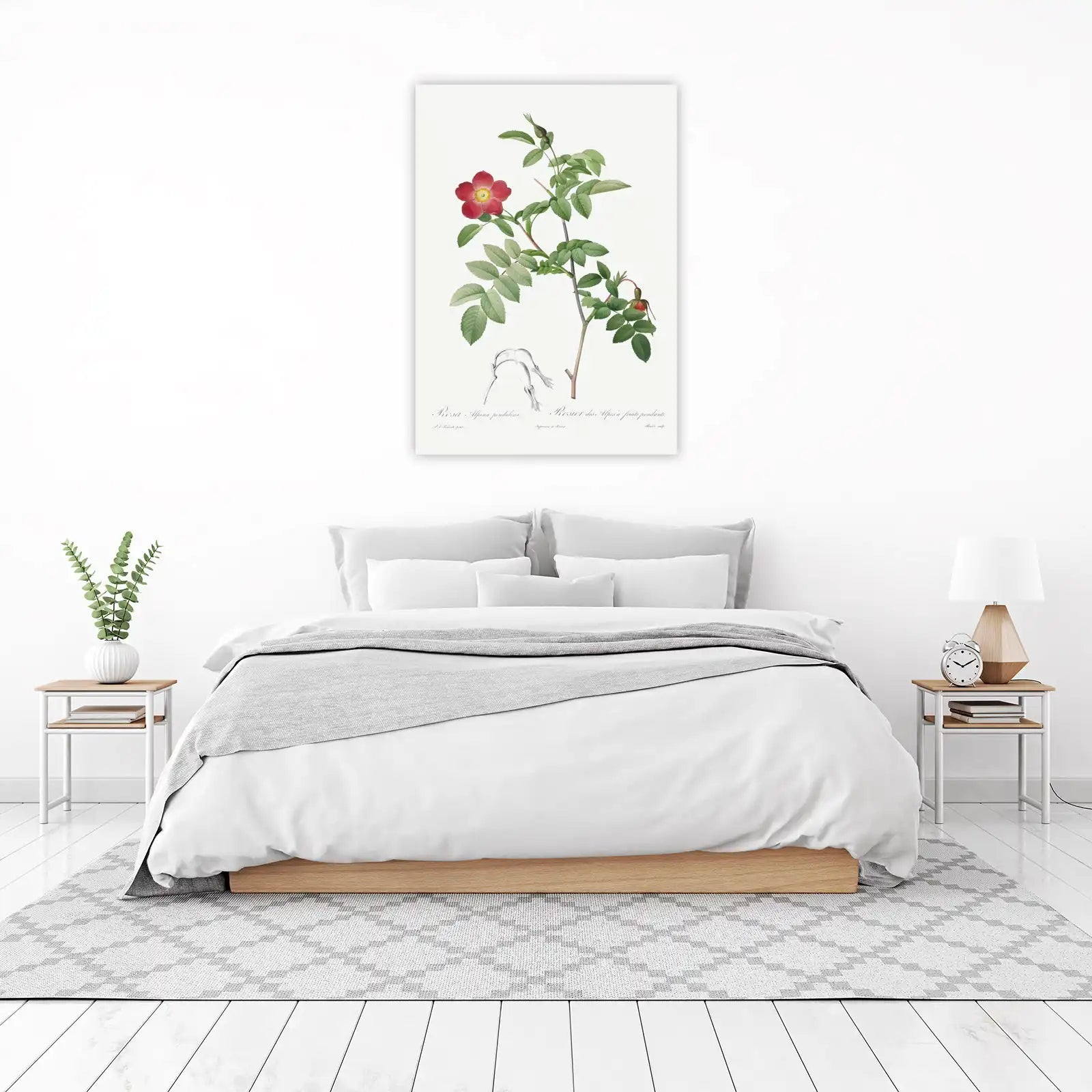 Vintage Alpine Rose Botanical Art Wall Art
