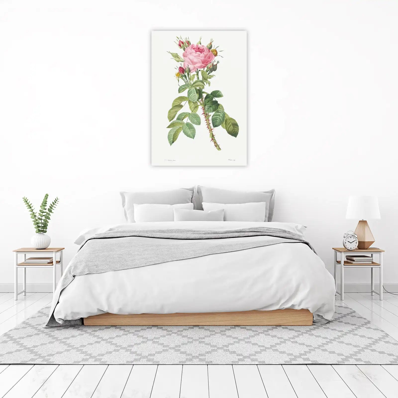 Vintage Pink Rose Botanical Art Wall Art