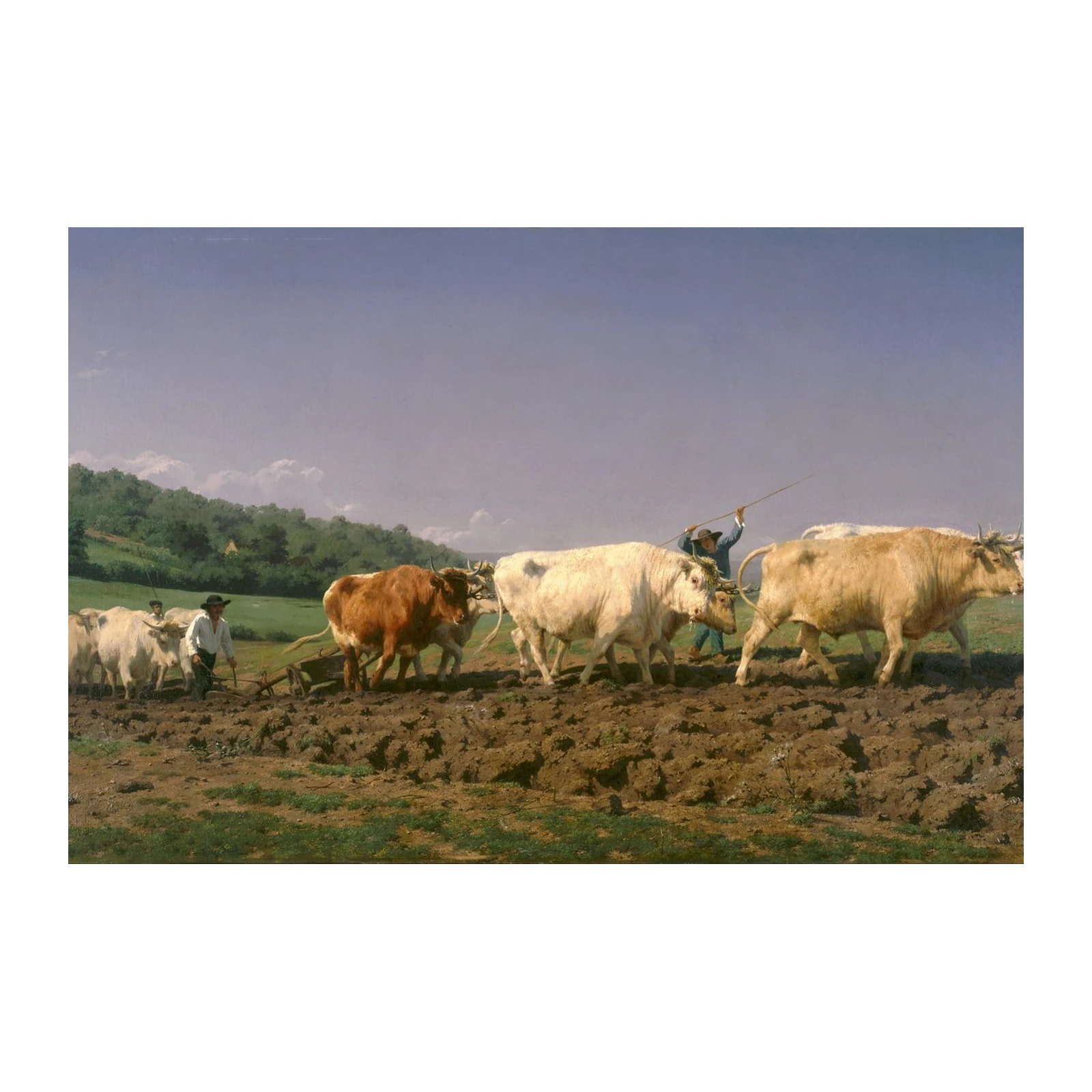 Oxen Plowing Rural Landscape Wall Art