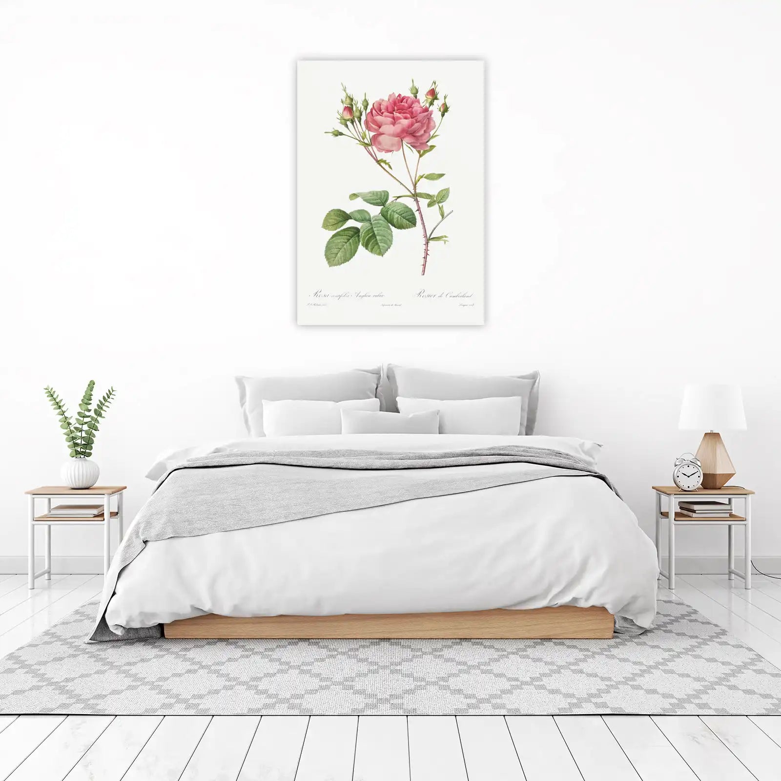 Vintage Pink Rose Botanical Art Wall Art