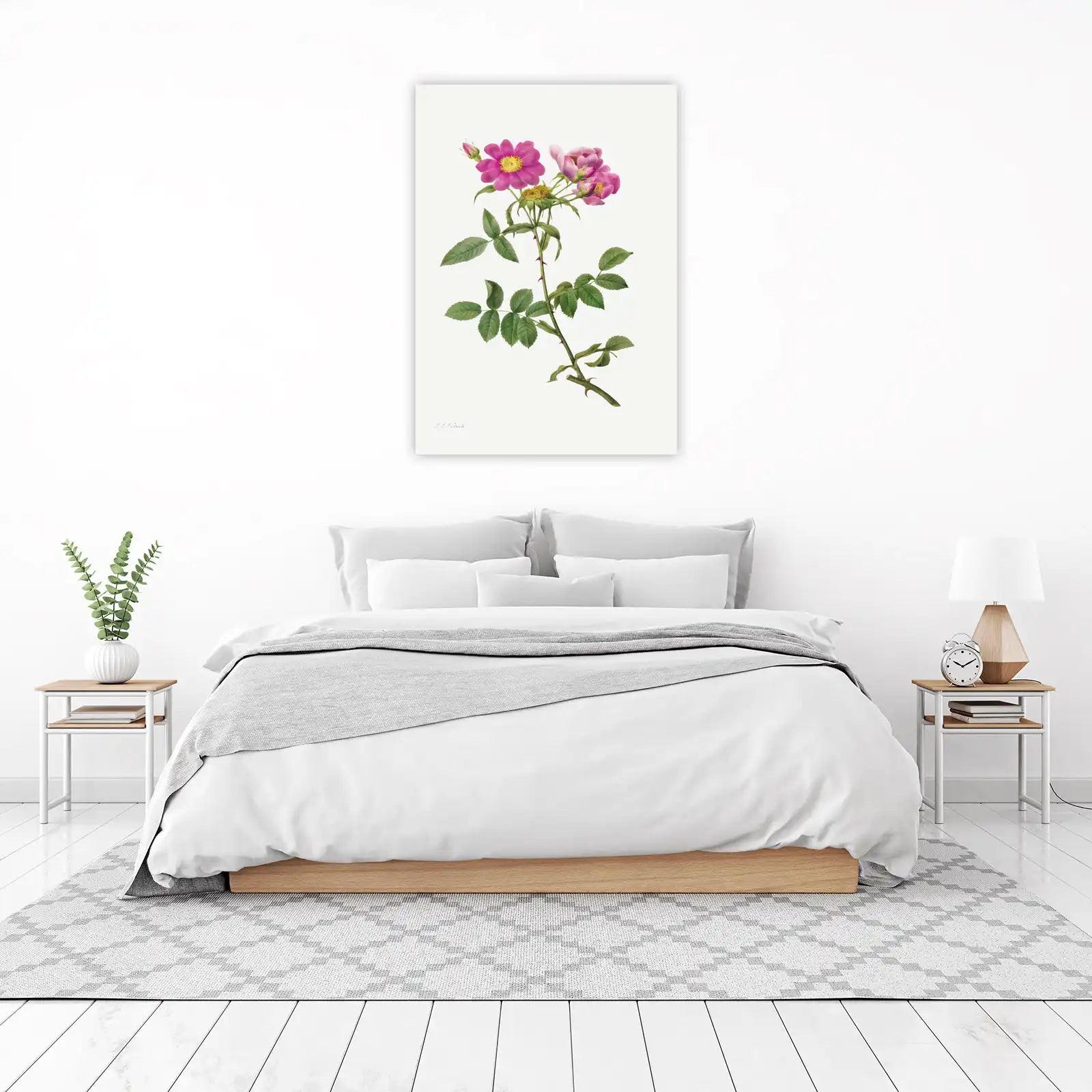 Vintage Rose Botanical Art Wall Art