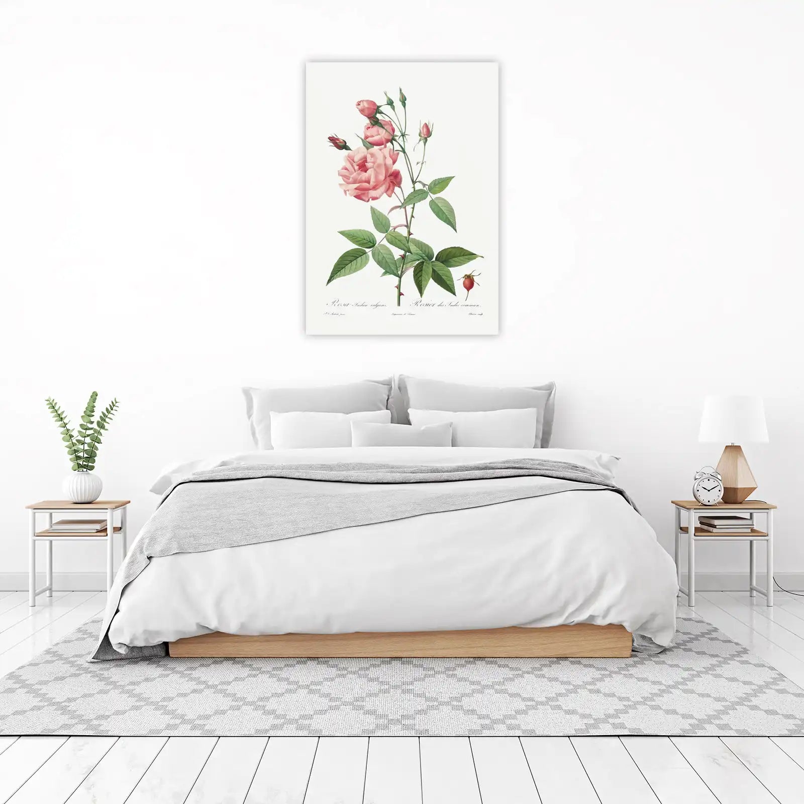 Elegant Pink Rose Botanical Art Wall Art