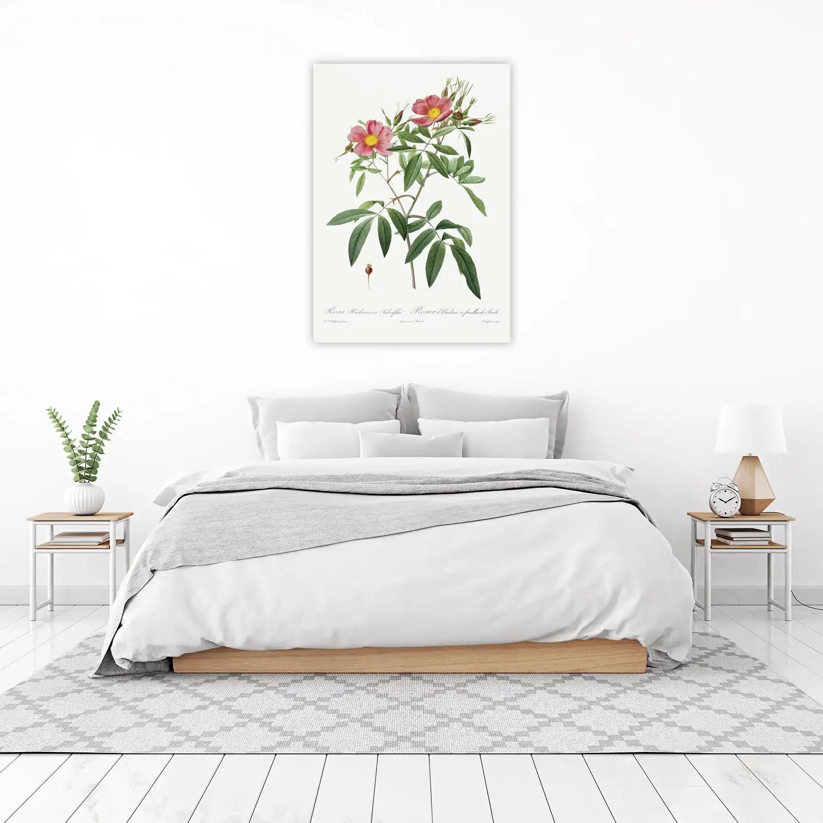 Botanical Rose Floral Wall Art Wall Art