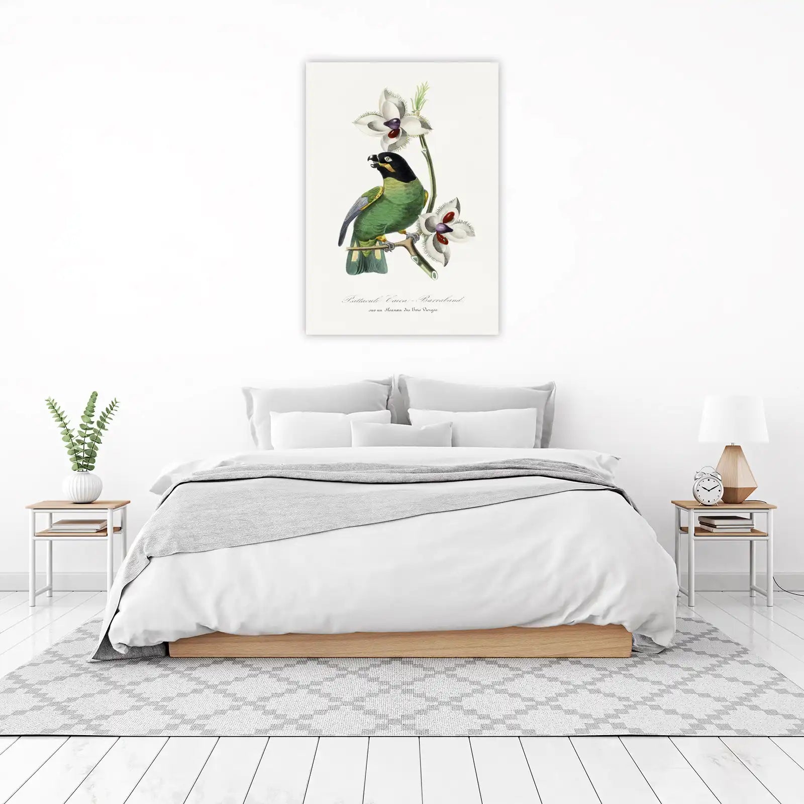 Vintage Parrot & Orchid Botanical Art Wall Art