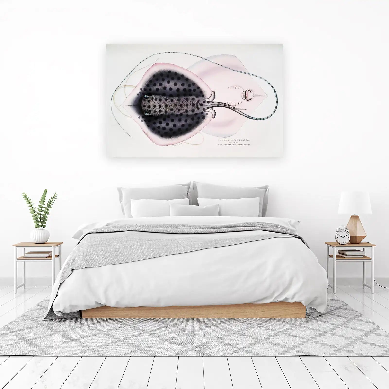 Vintage Spotted Stingray Zoological Art Wall Art