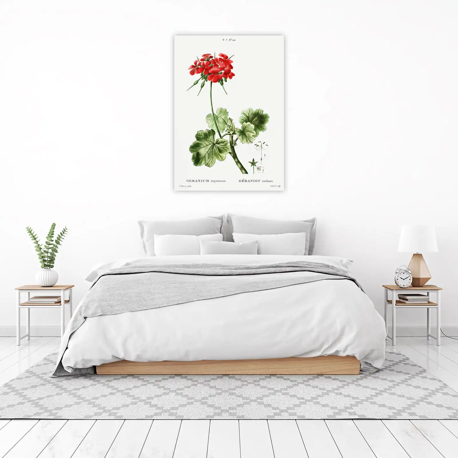 Red Geranium Botanical Vintage Wall Art