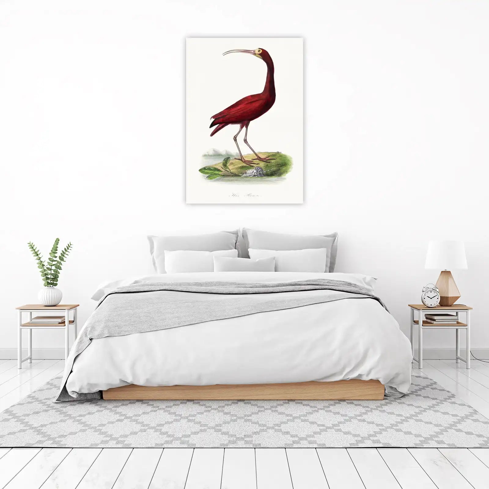 Elegant Red Ibis Vintage Bird Art Wall Art