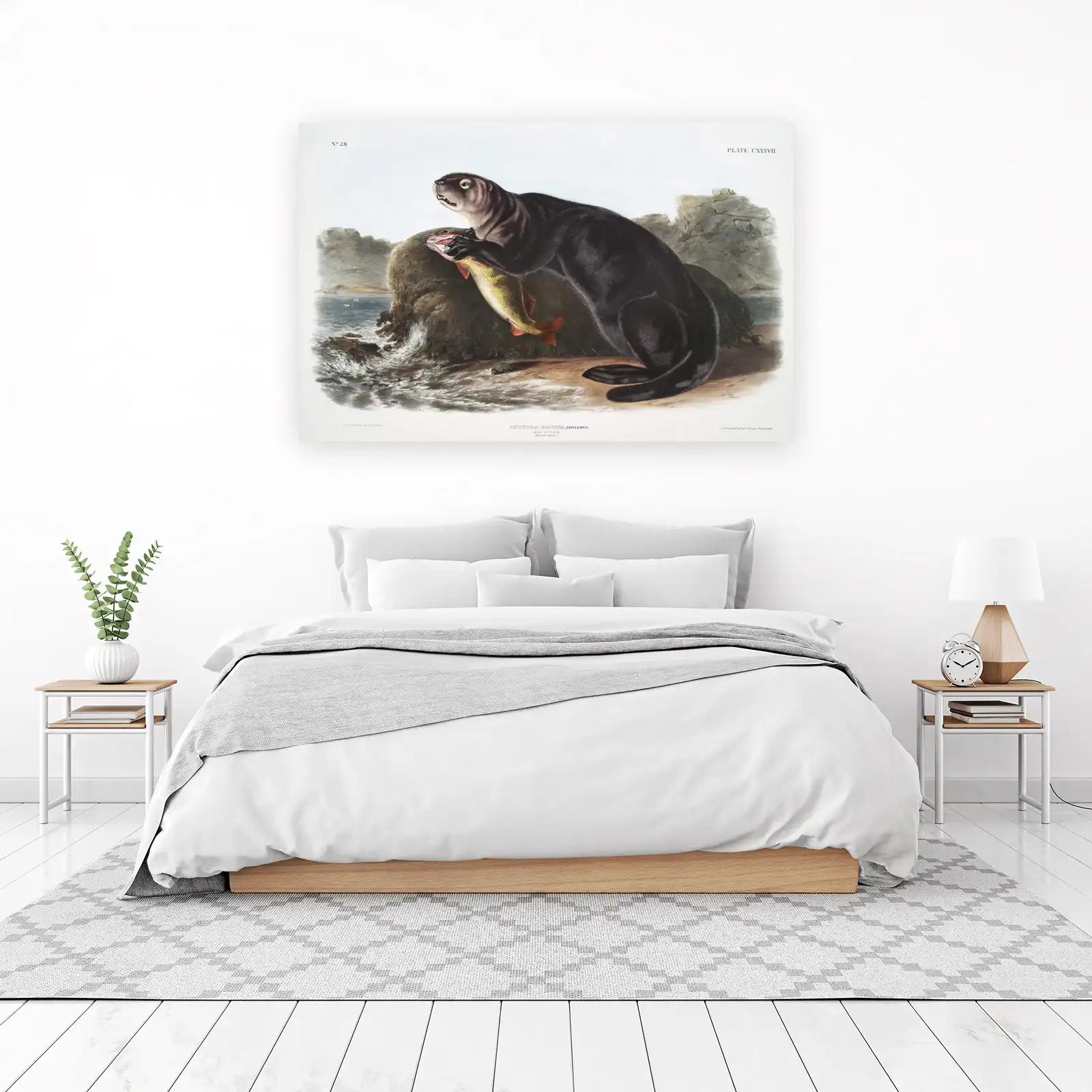 Vintage Sea Otter & Fish Audubon Print Wall Art