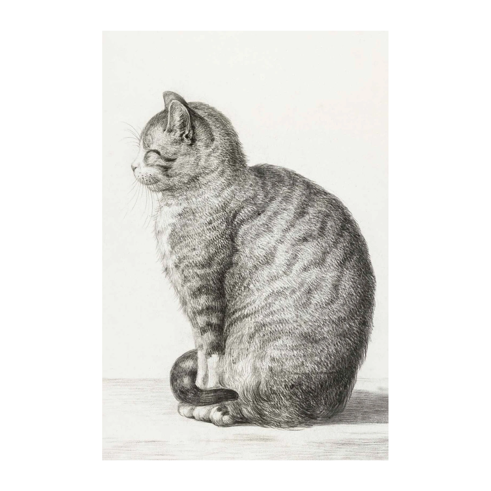 Serene Tabby Cat Portrait Wall Art