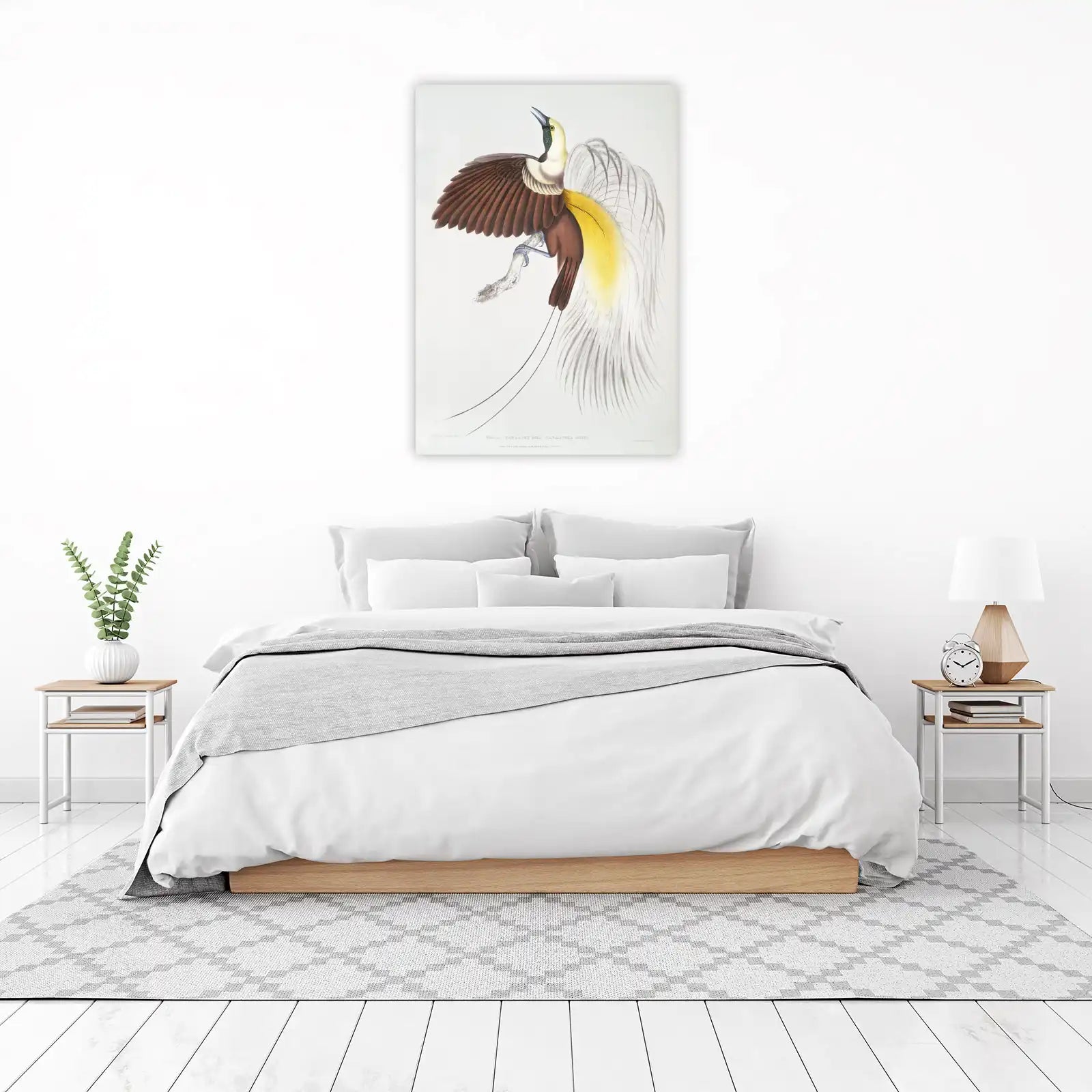Elegant Bird of Paradise Art Wall Art