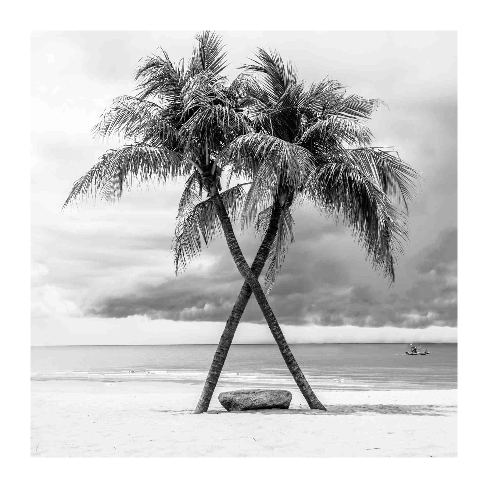 Tropical Palms Beach Escape Wall Art