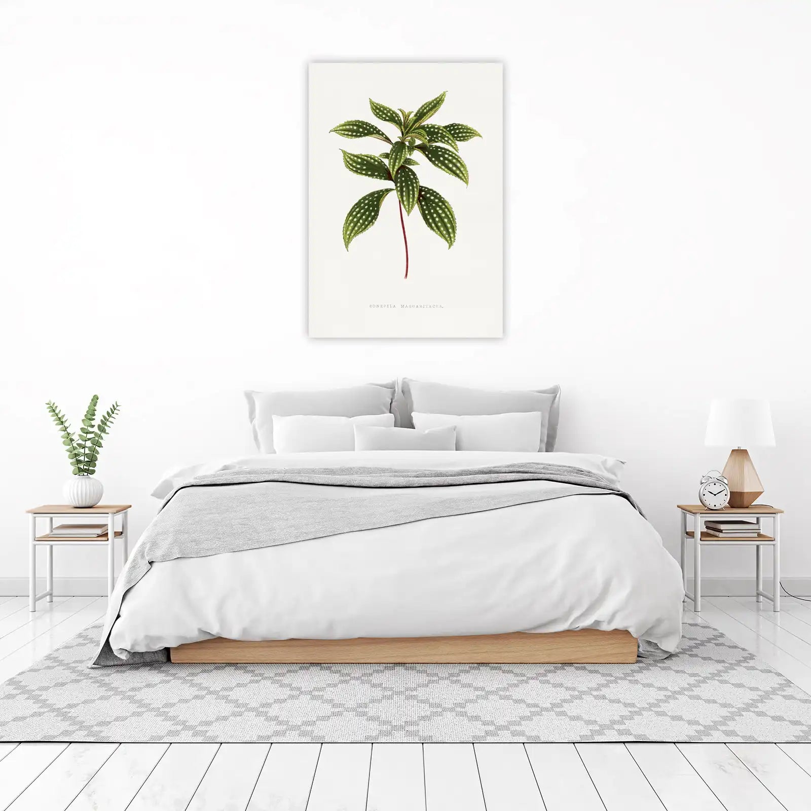 Polka Dot Plant Botanical Art Wall Art