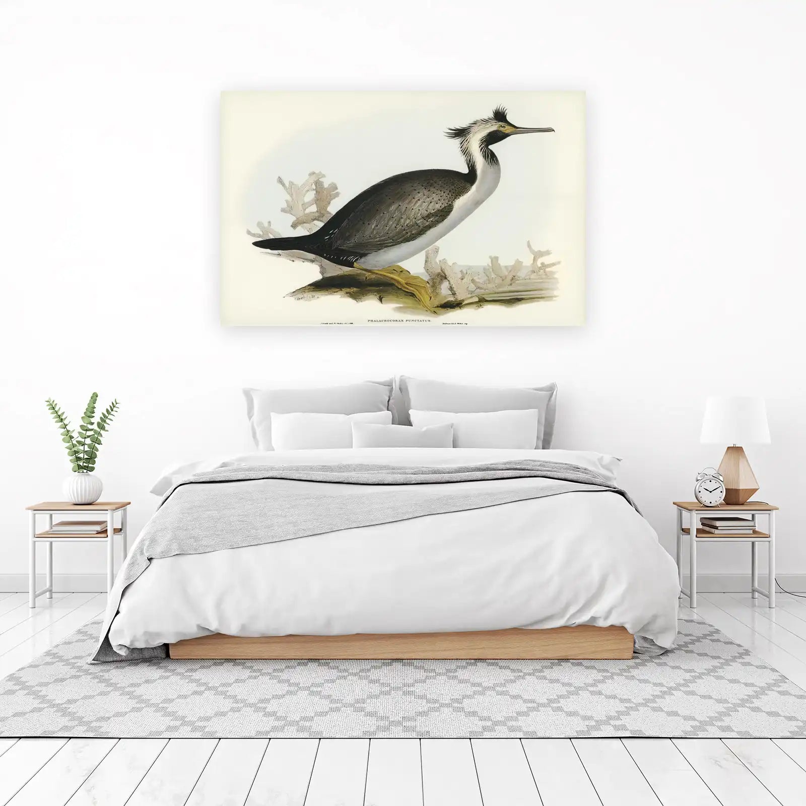 Vintage Bird Art: Elegant Cormorant Wall Art