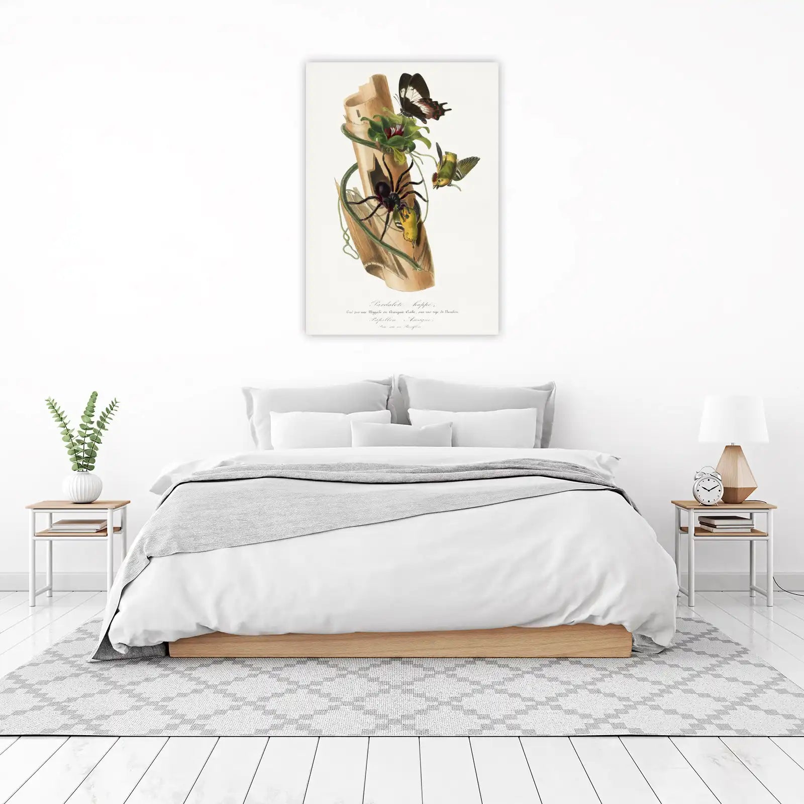 Vibrant Nature Scene Butterfly & Spider Wall Art