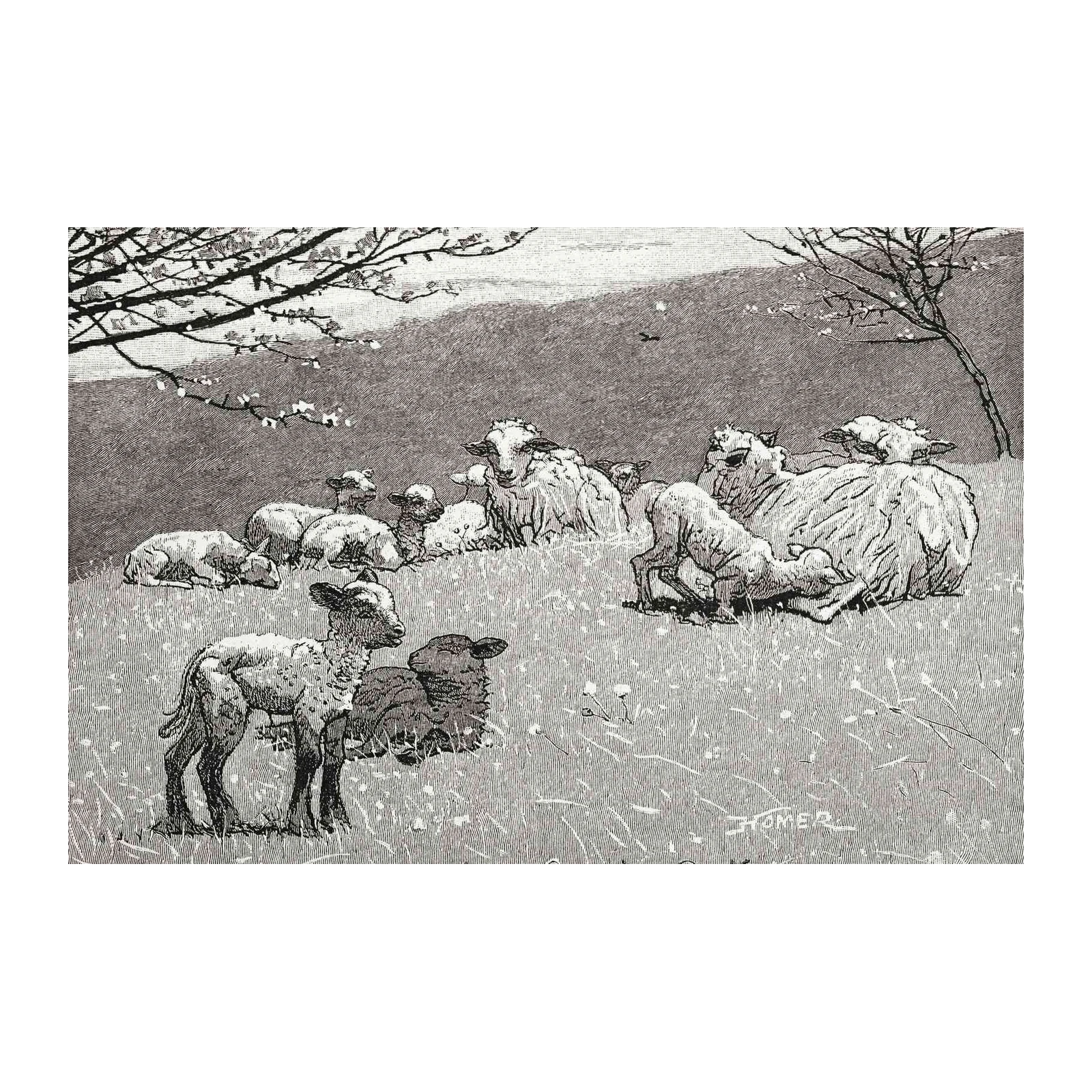 Vintage Sheep Meadow Art Wall Art