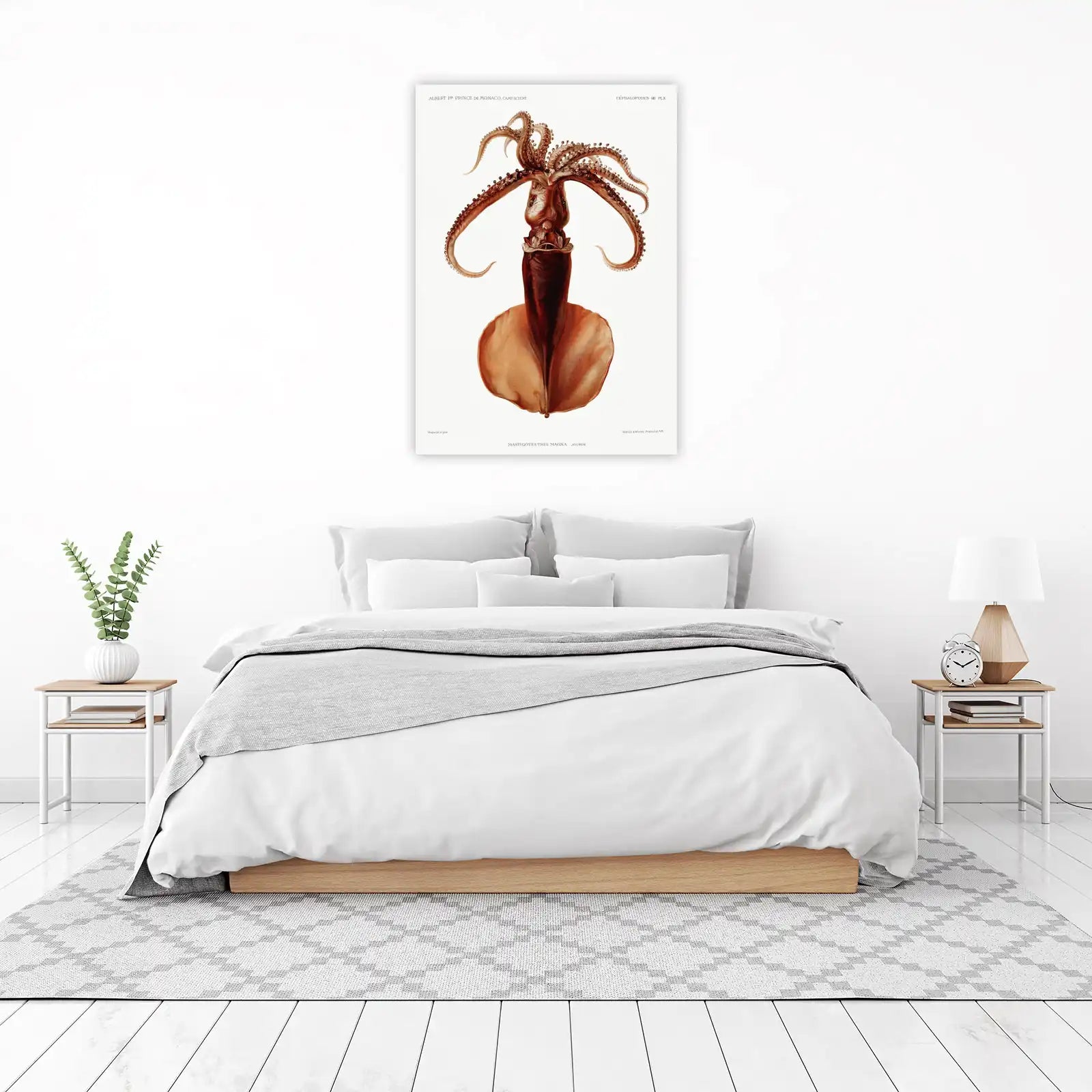 Giant Squid Vintage Scientific Illustration Wall Art