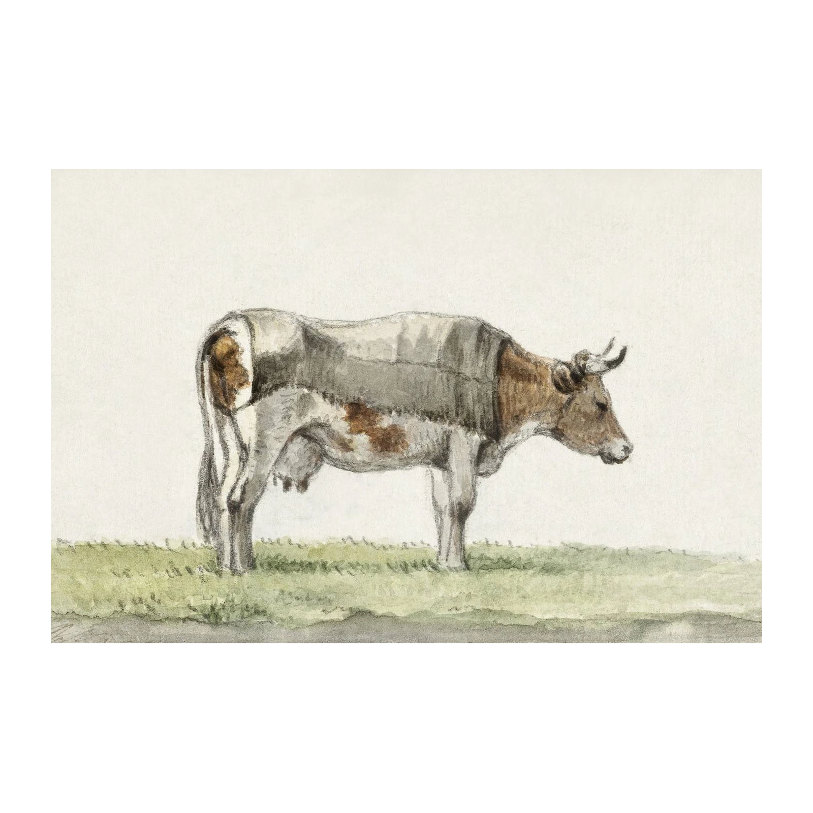 Vintage Farm Cow Botanical Sketch Wall Art