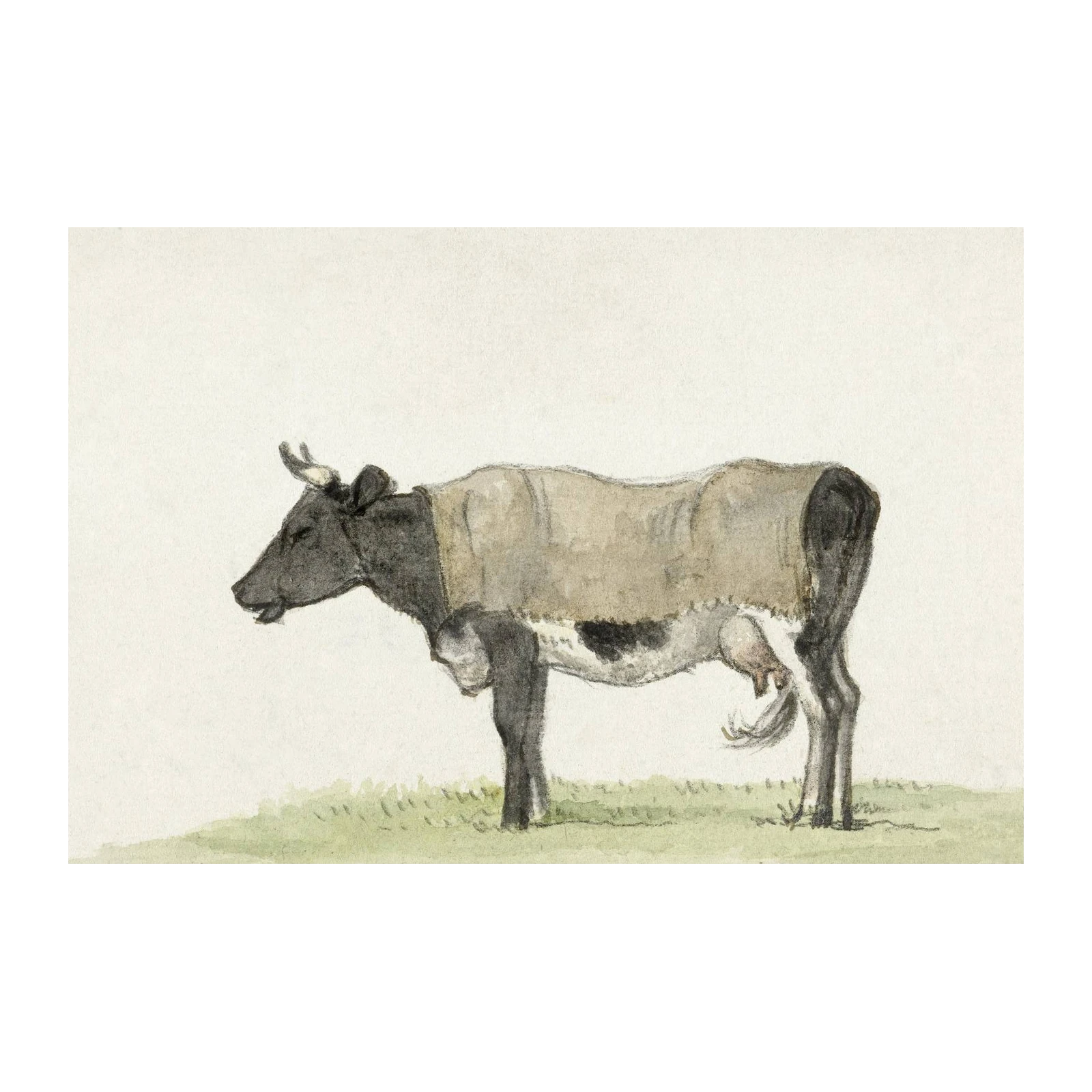 Vintage Cow Portrait Wall Art