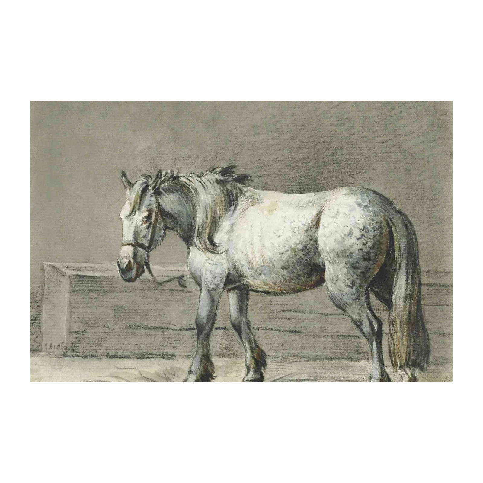 Elegant Horse Portrait in Charcoal Wall Art