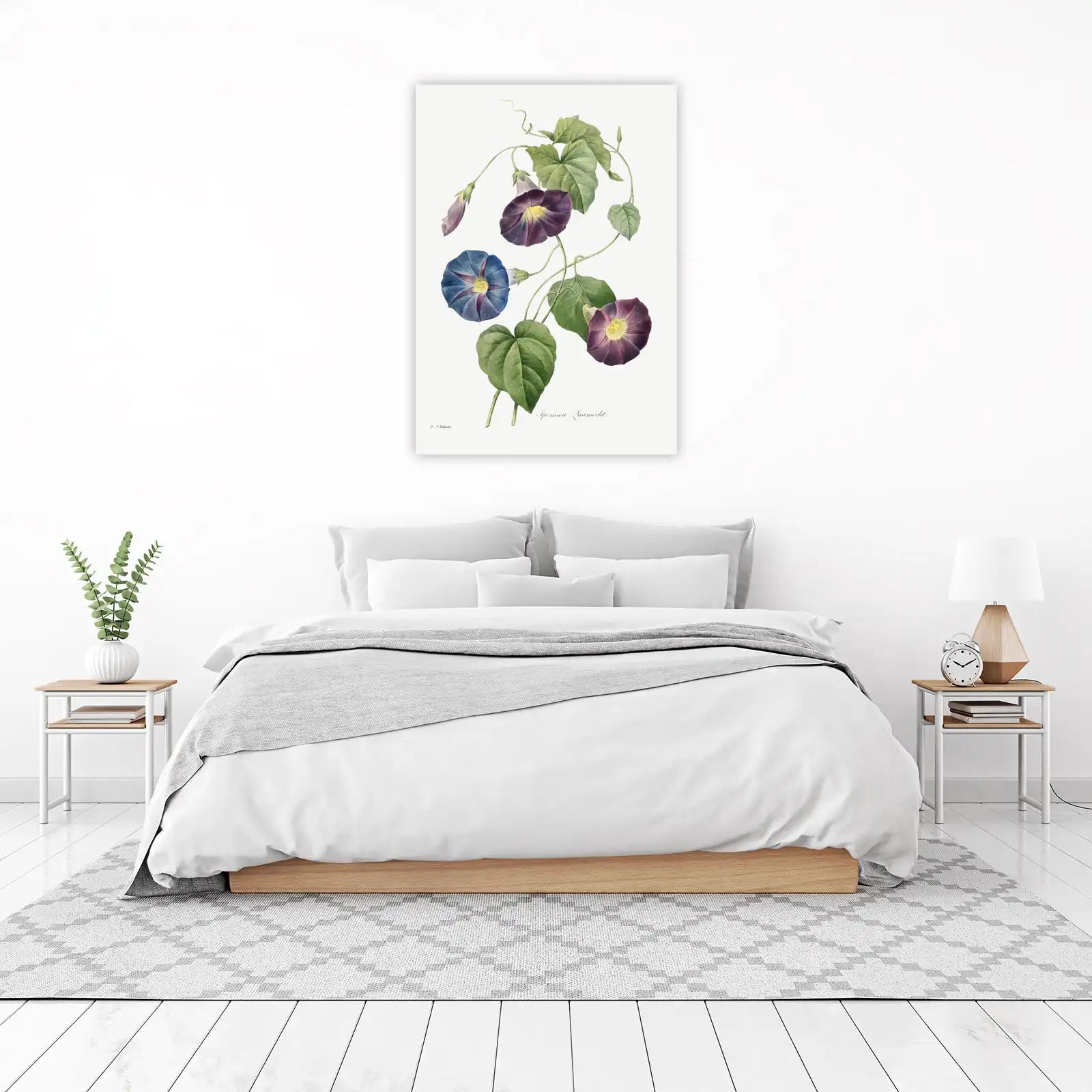 Vintage Morning Glory Botanical Wall Art