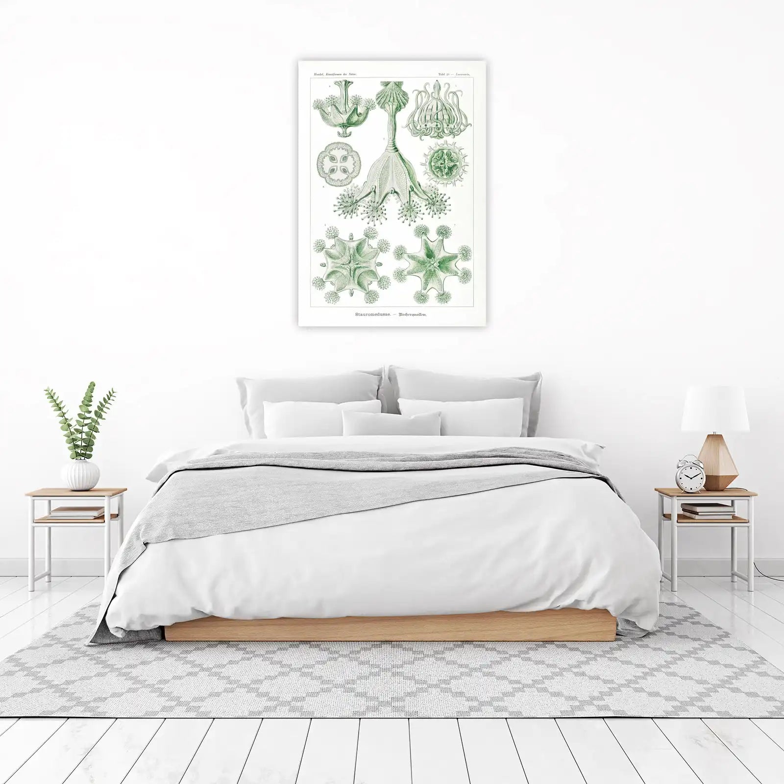 Vintage Sea Creature Botanical Art Wall Art