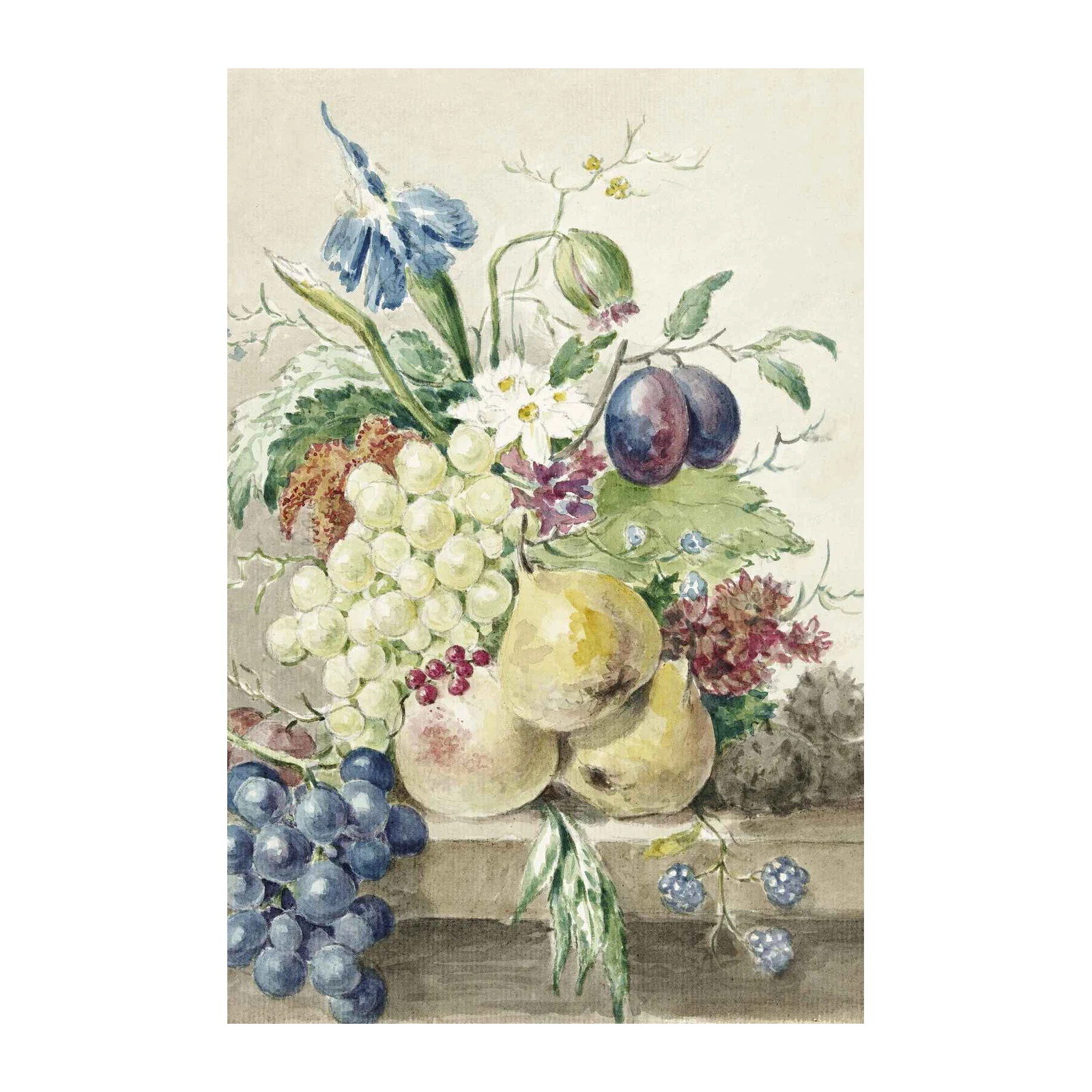 Vintage Fruit Still Life Watercolor Wall Art