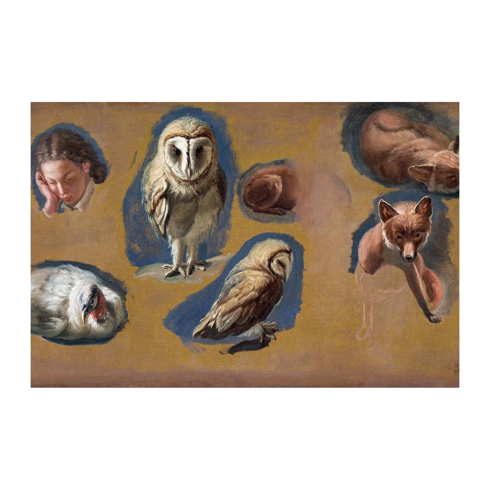 Vintage Wildlife & Portrait Studies Wall Art