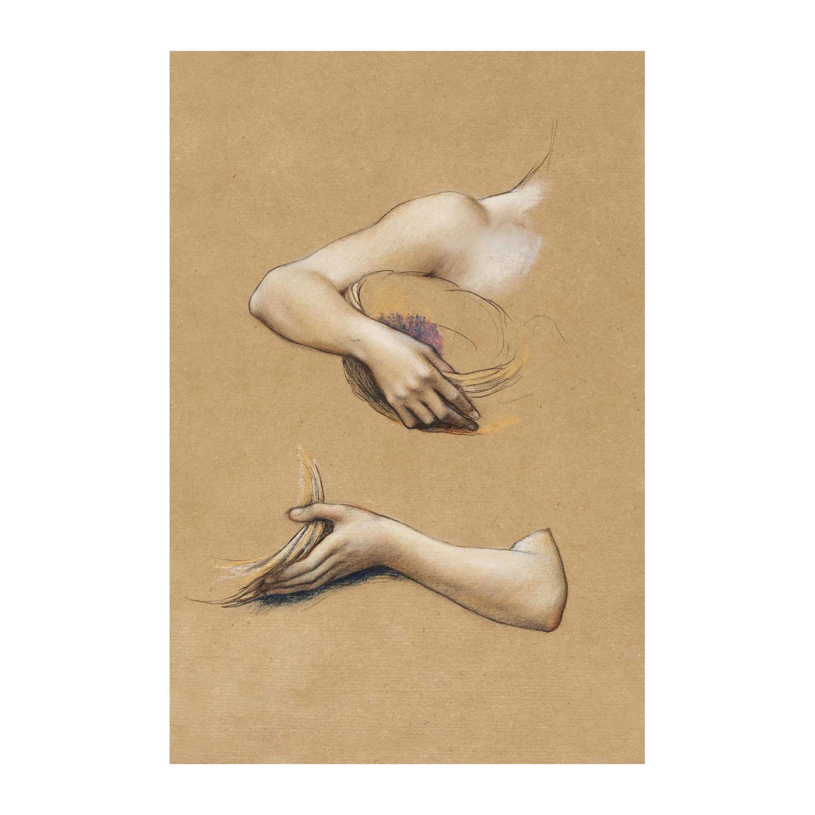 Elegant Hands Figure Study Wall Art