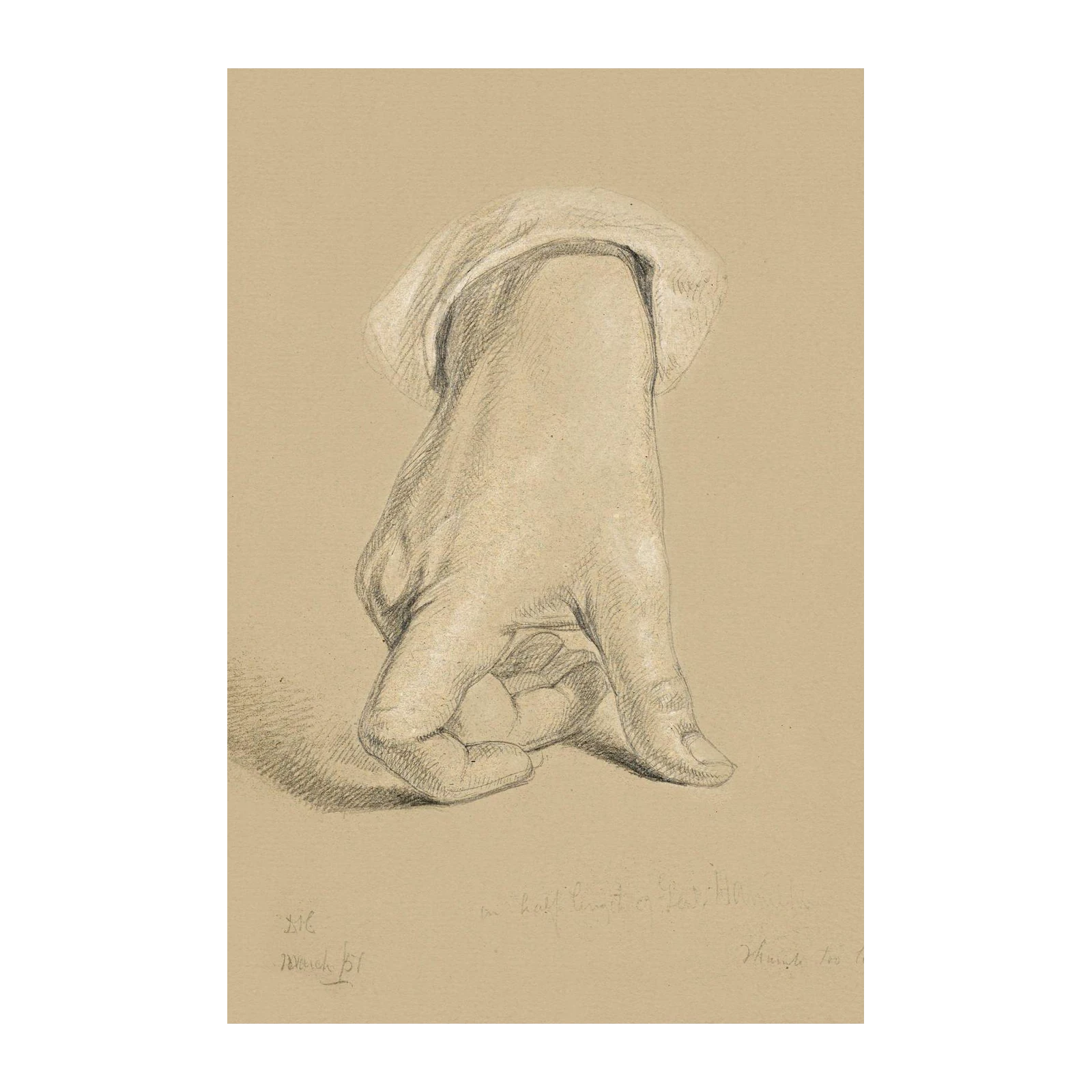Pencil Sketch Hand "Long Thumbs" Wall Art