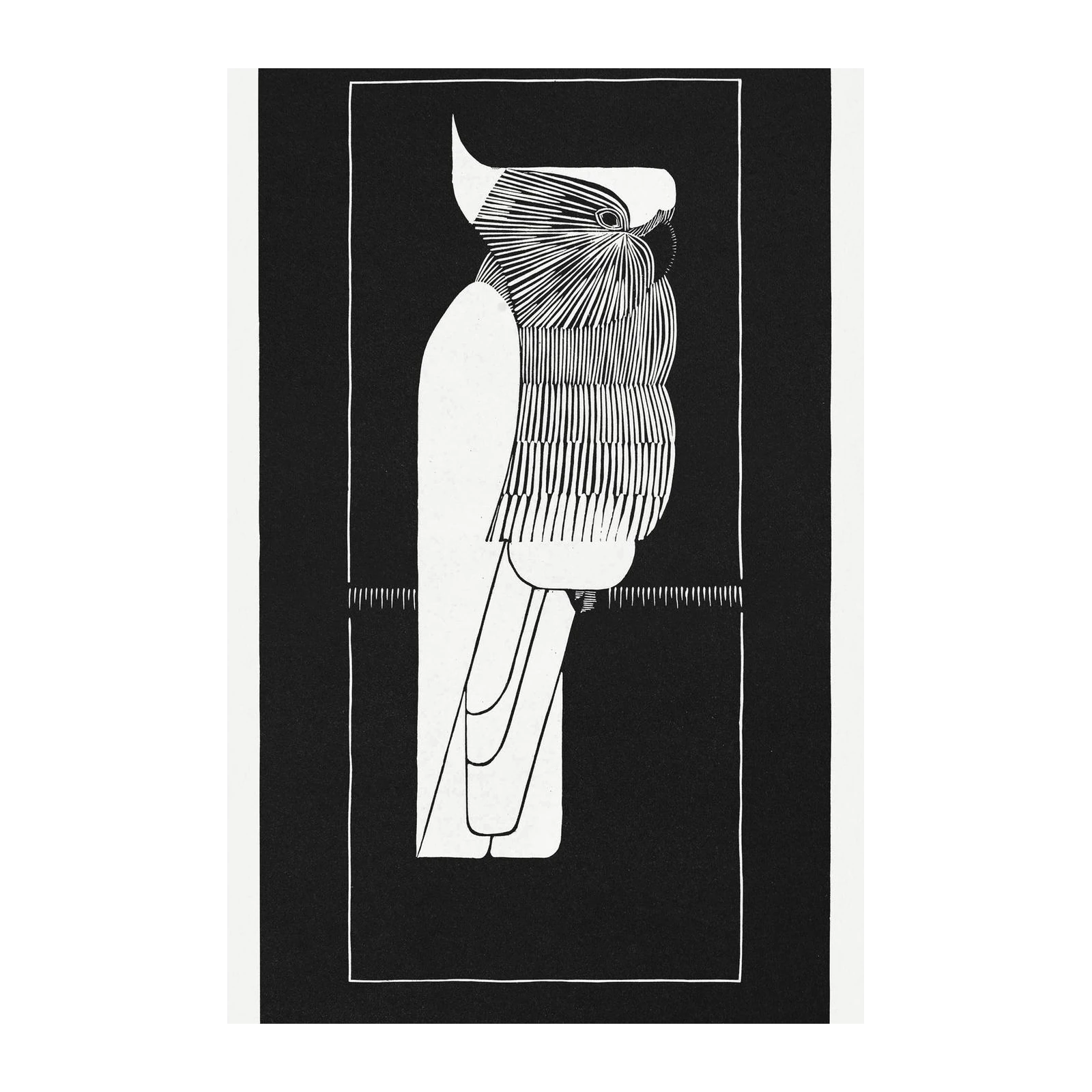 Modern Black & White Cockatoo Wall Art