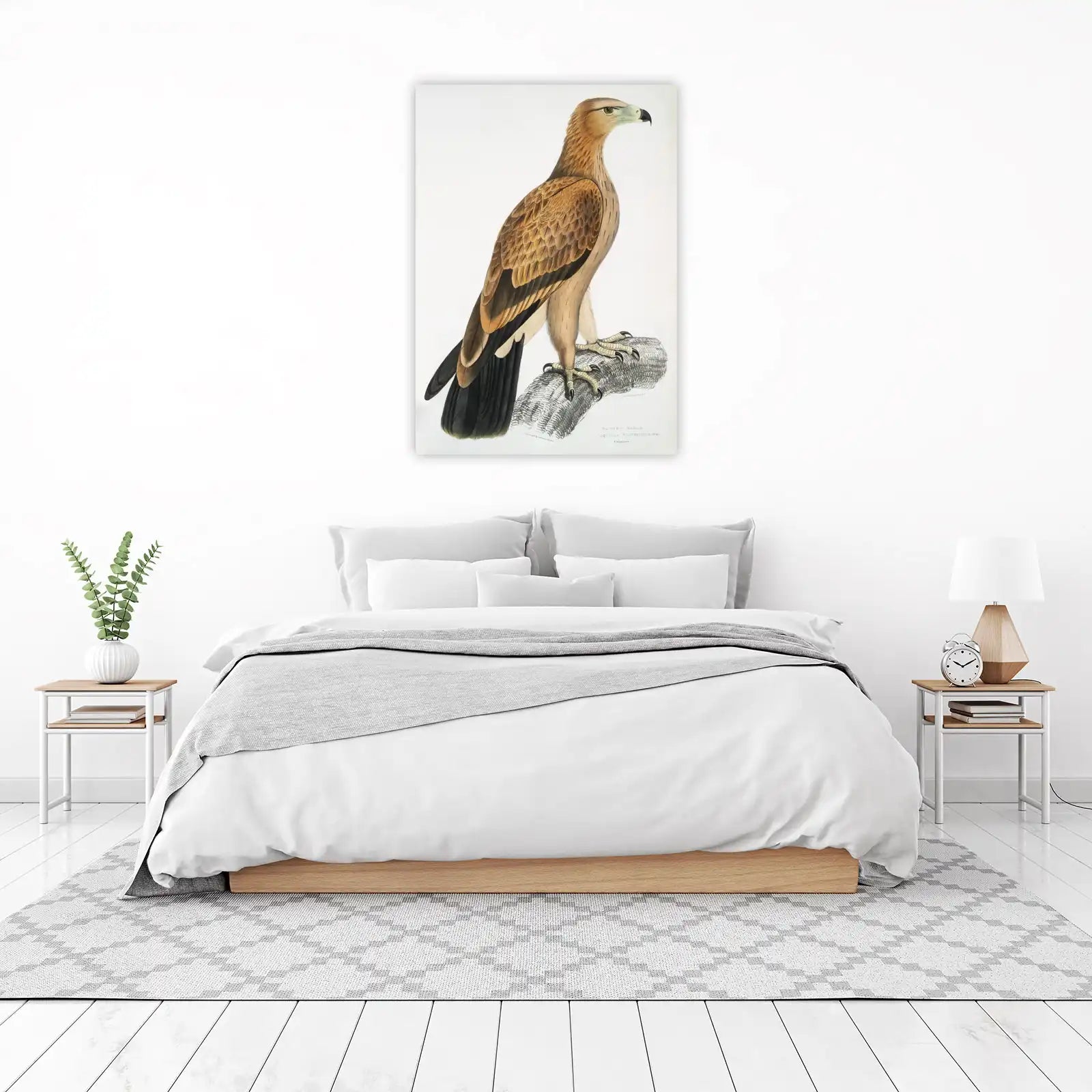 Majestic Tawny Eagle Wildlife Art Wall Art
