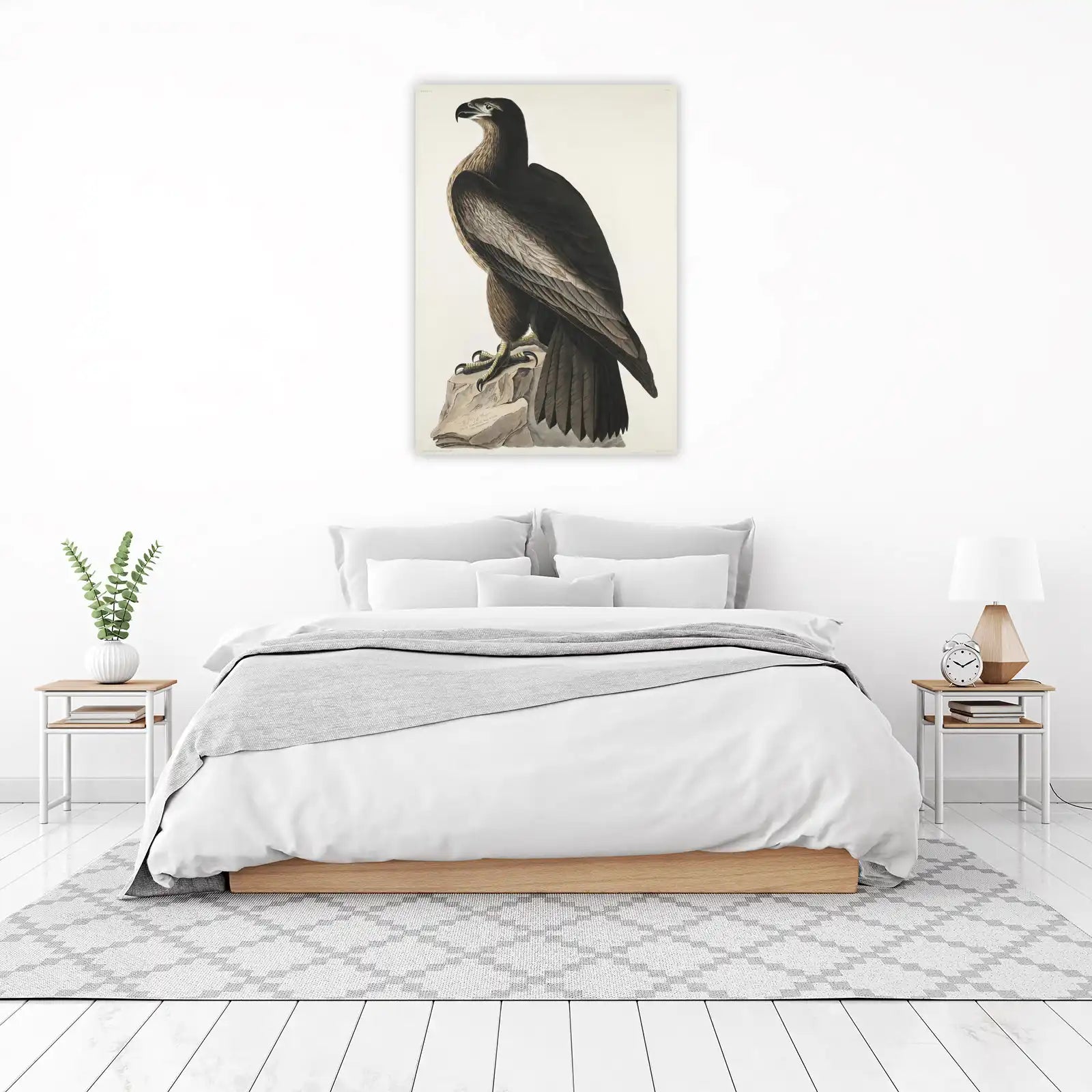 Majestic Eagle Art: Coastal Bird Wall Art
