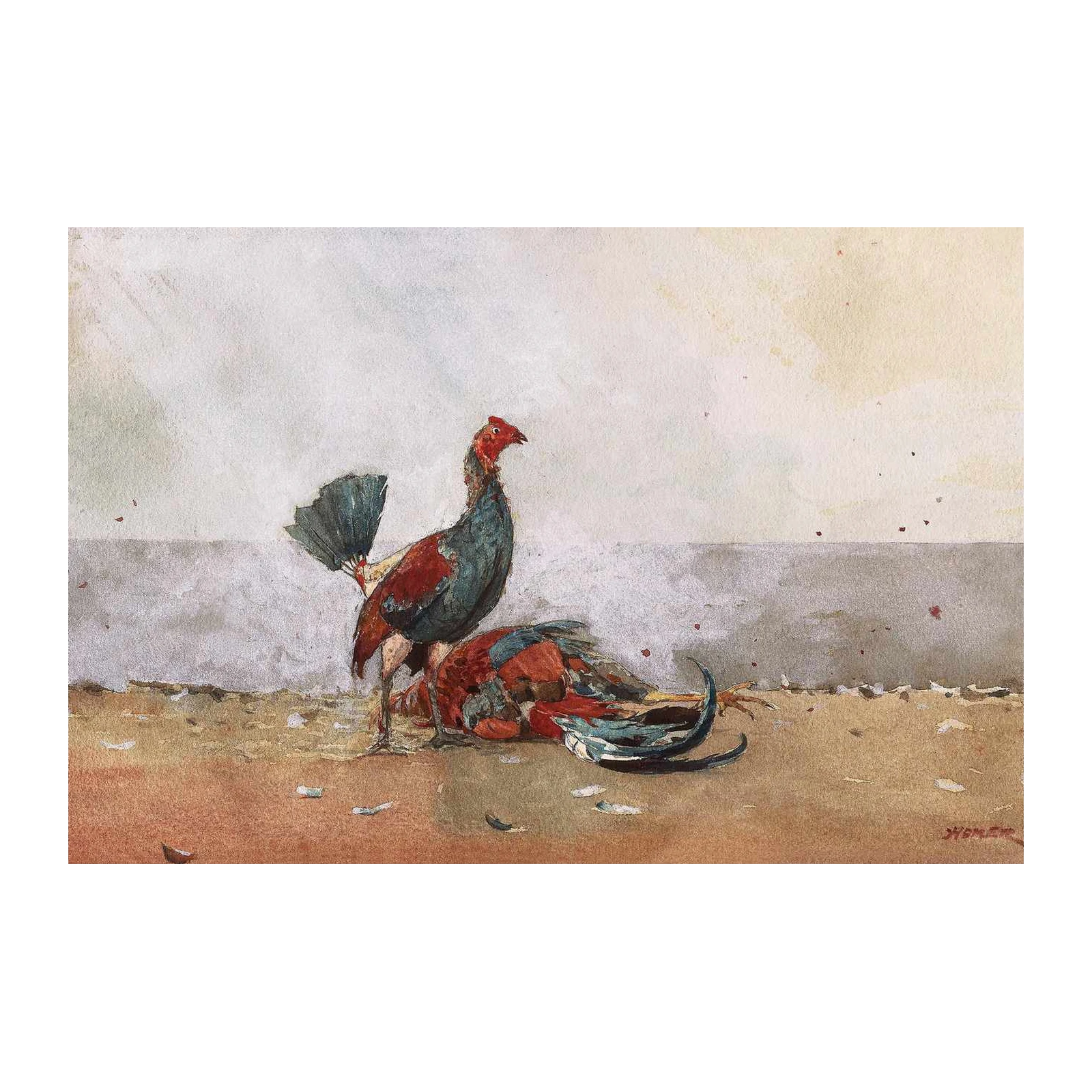 Rooster Battle Watercolor Wall Art
