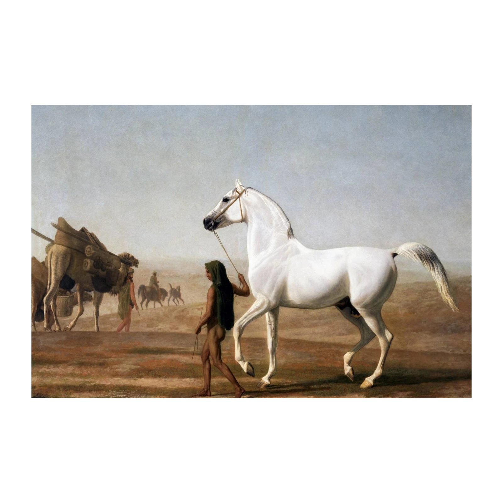 Elegant Arabian Horse with Camel Caravan Wall Art