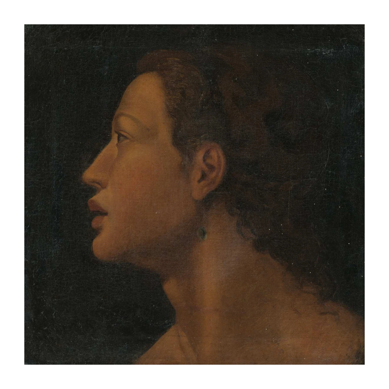 Elegant Profile Portrait Renaissance Wall Art