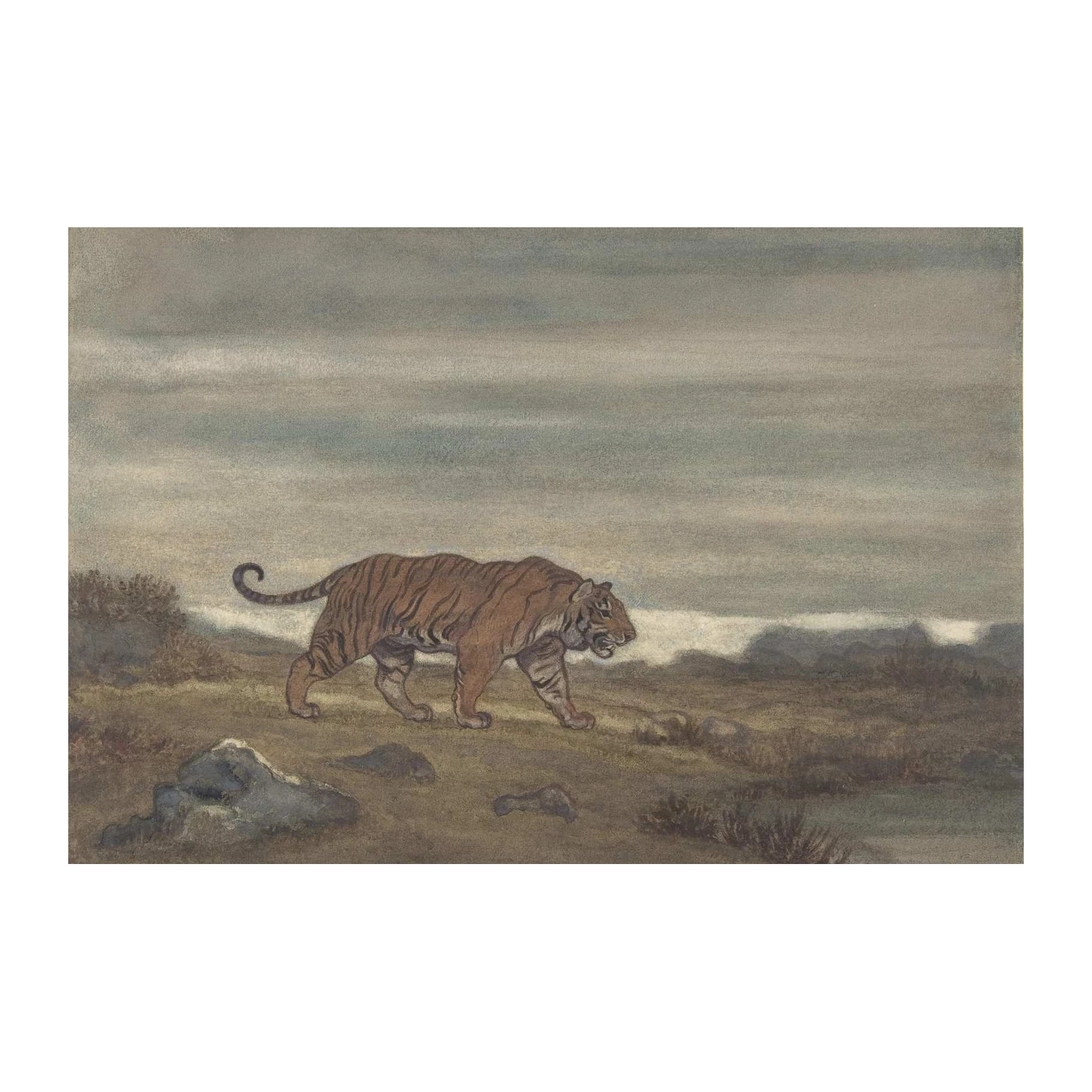 Majestic Tiger Prowling Wall Art