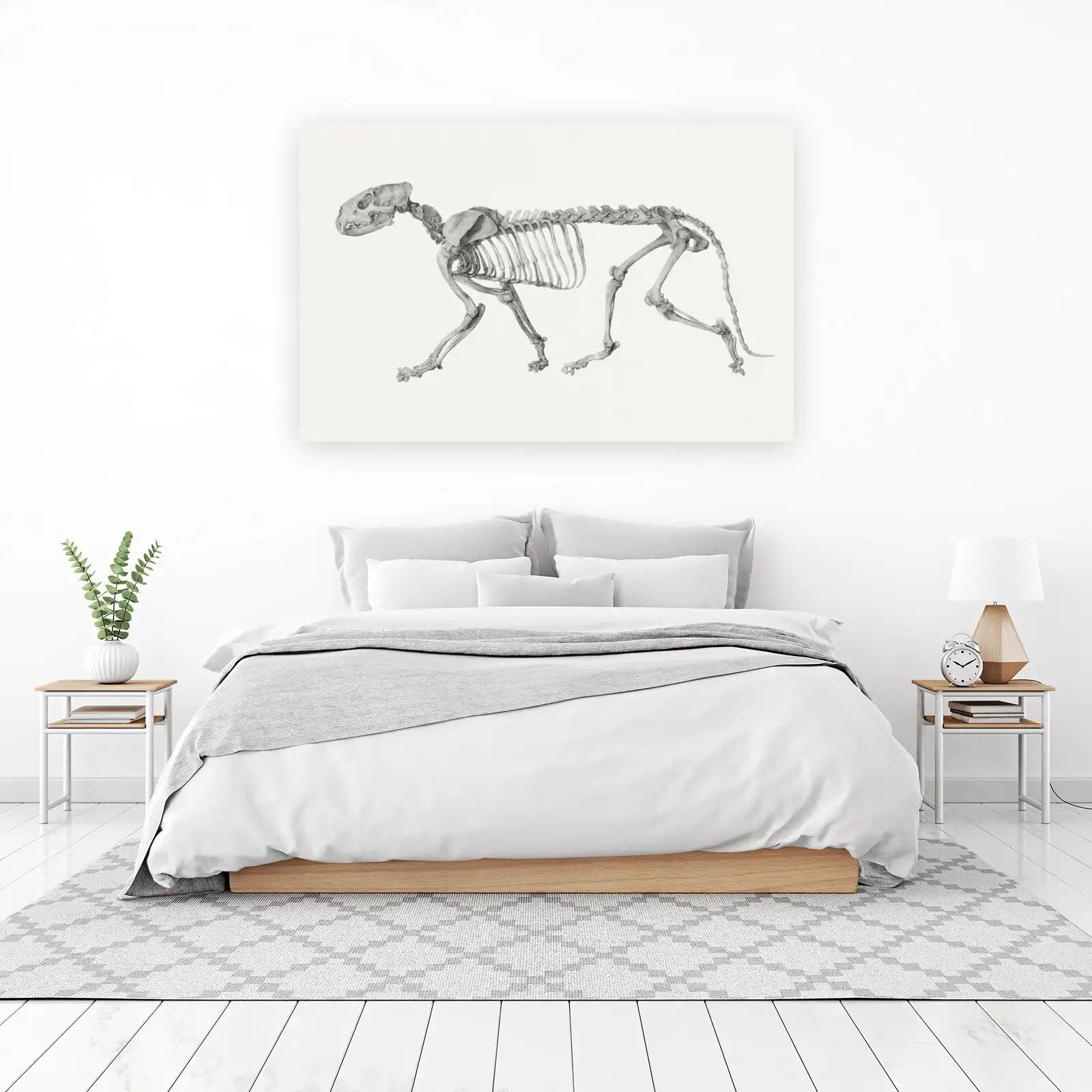 Elegant Animal Skeleton Wall Art
