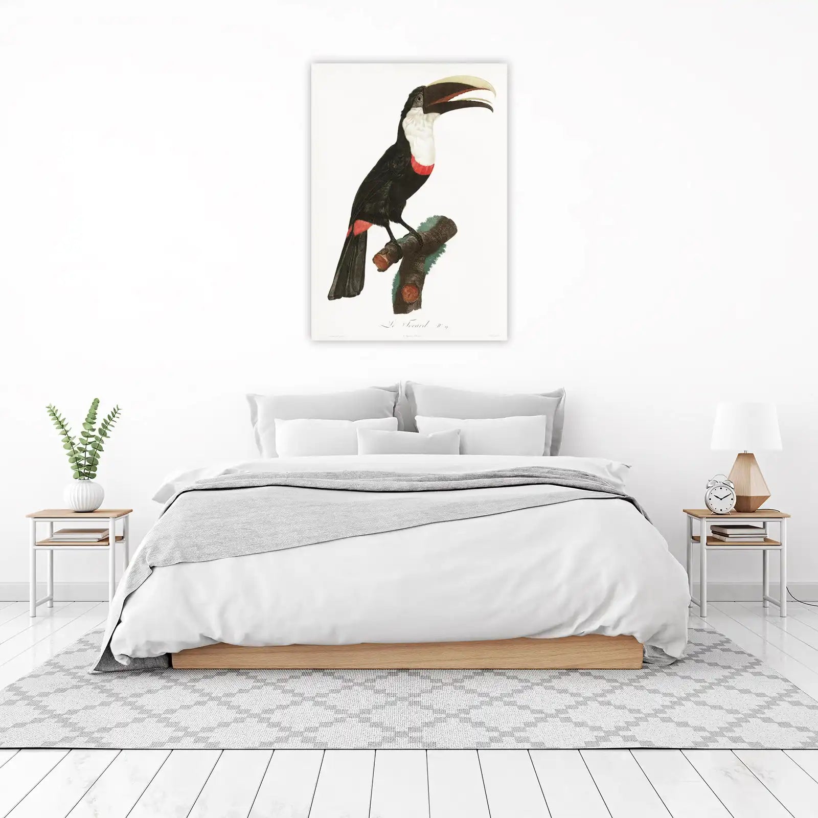 Vibrant Toucan Tropical Bird Art Wall Art