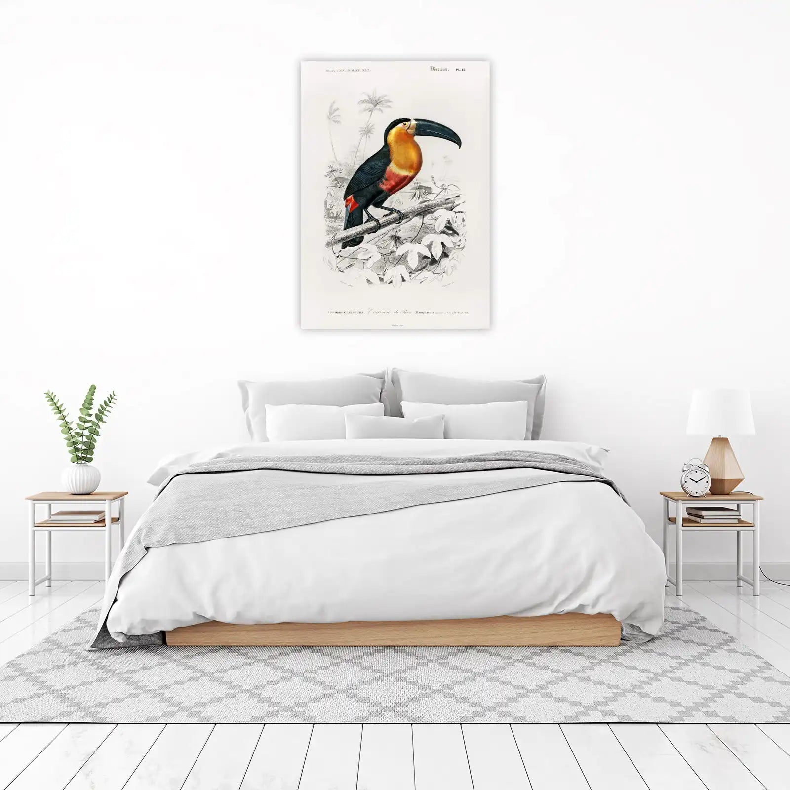 Exotic Toucan Tropical Bird Art Wall Art
