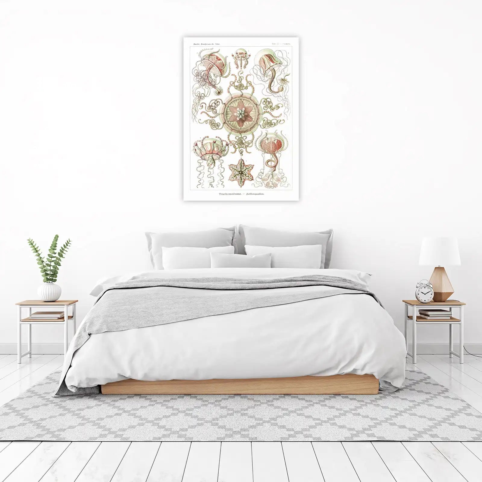 Vintage Jellyfish Art Print | Haeckel Trachymedusae Wall Art