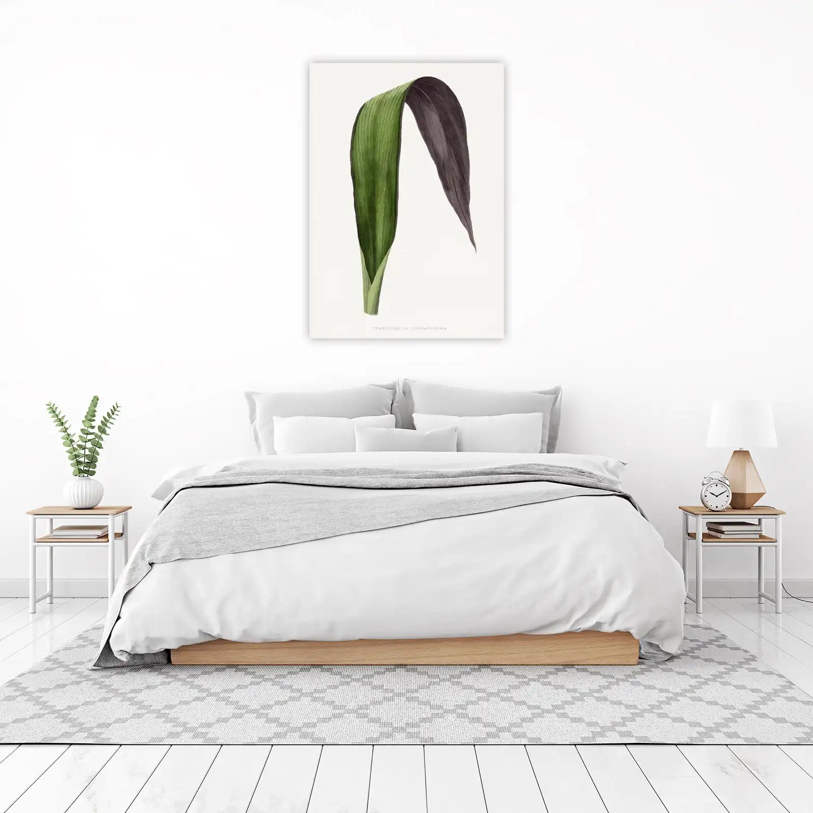 Tradescantia Odoratissima Botanical Leaf Wall Art